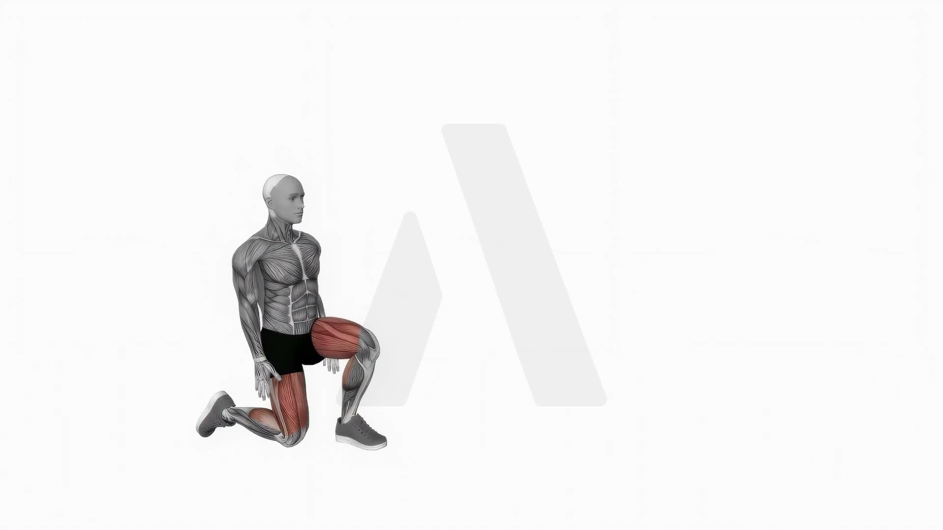 Bodyweight Kneeling Hold To Stand exercise demonstration