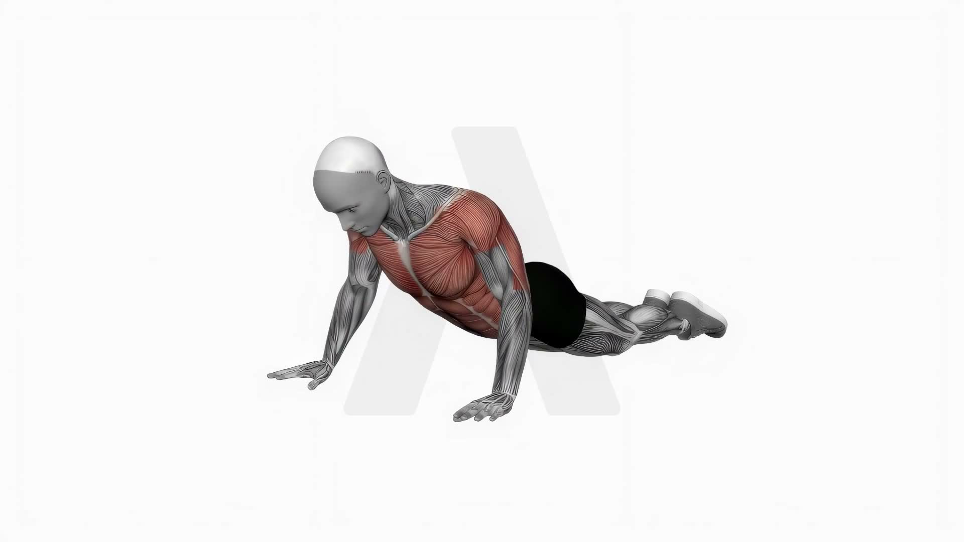 Bodyweight Kneeling Push Up Row exercise demonstration