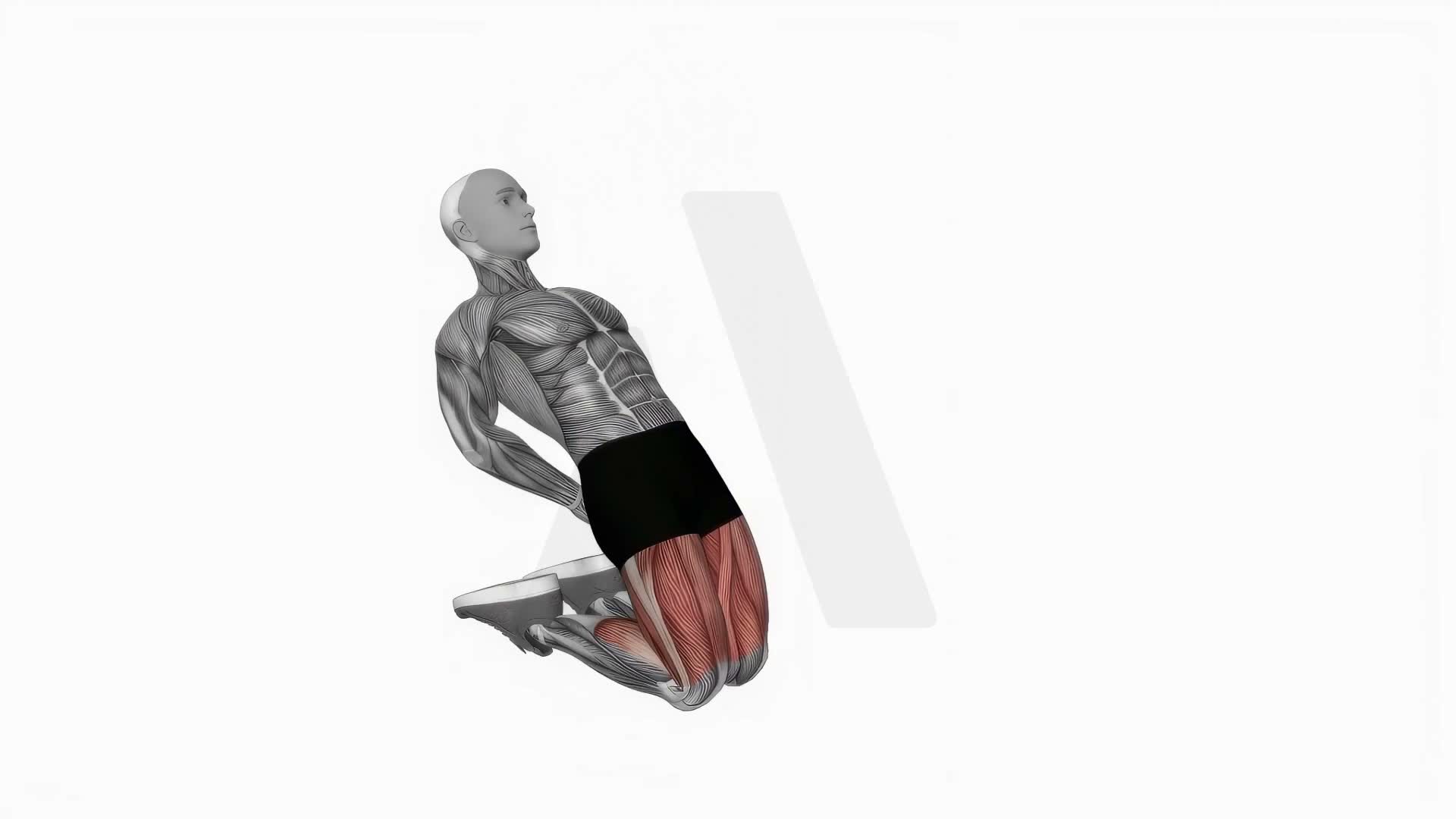 Bodyweight Kneeling Sissy Squat exercise demonstration