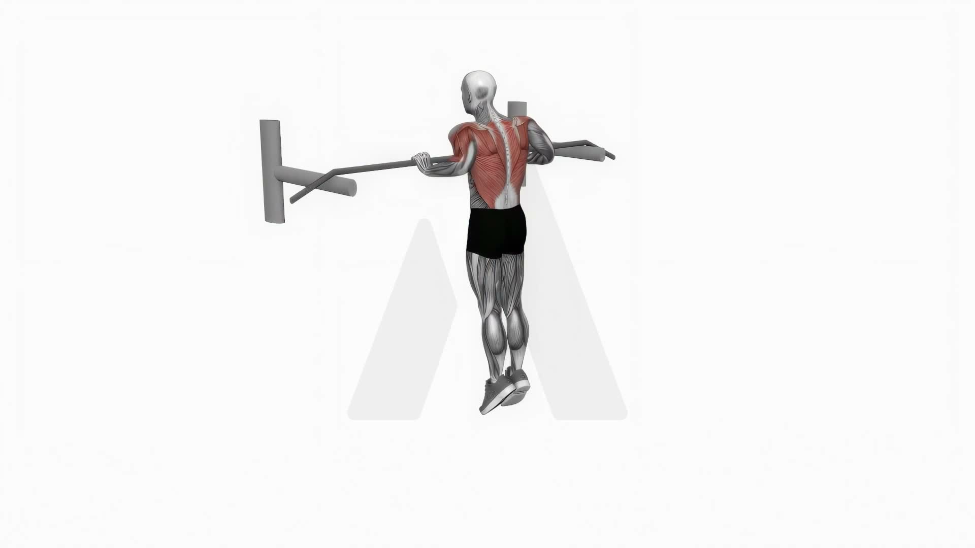 Bodyweight Muscle Up exercise demonstration