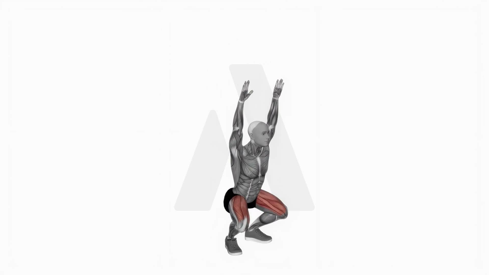 Bodyweight Overhead Squat exercise demonstration
