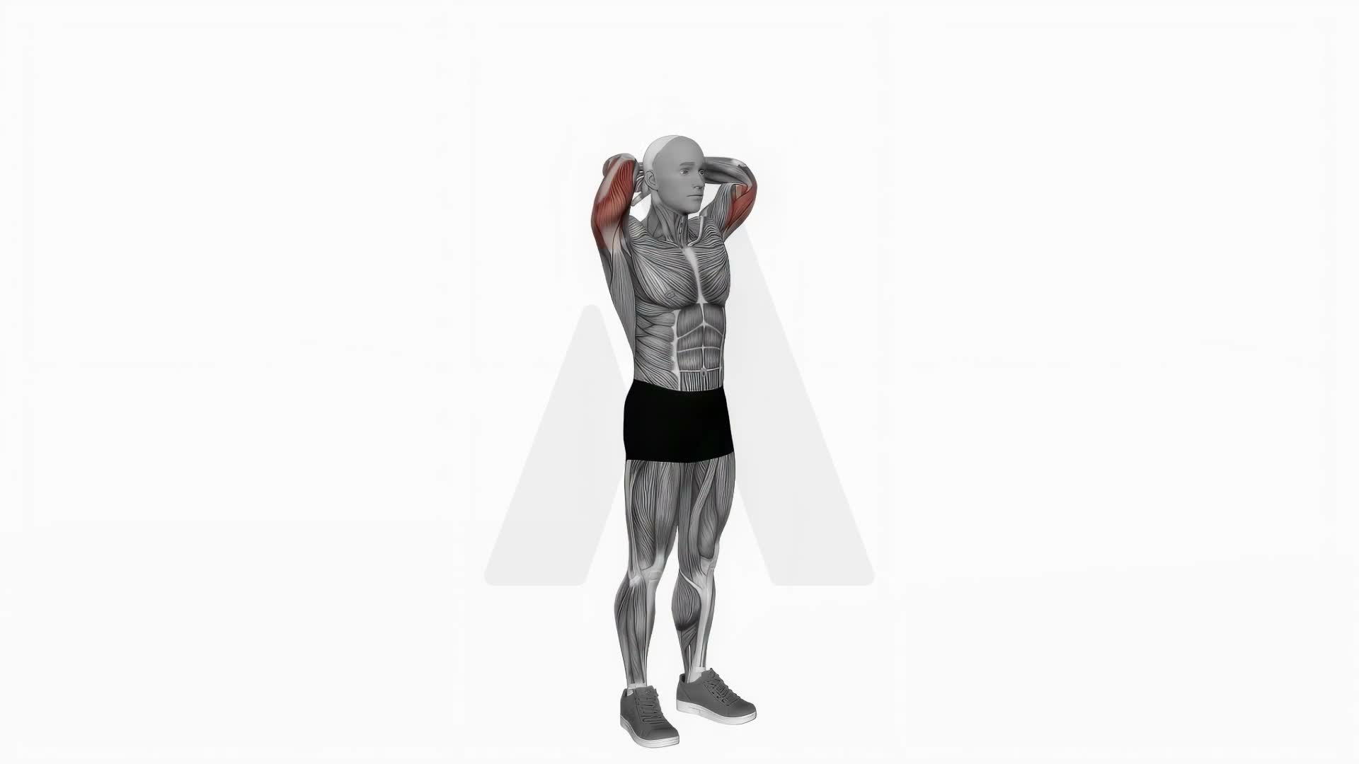Bodyweight Overhead Triceps Extension exercise demonstration