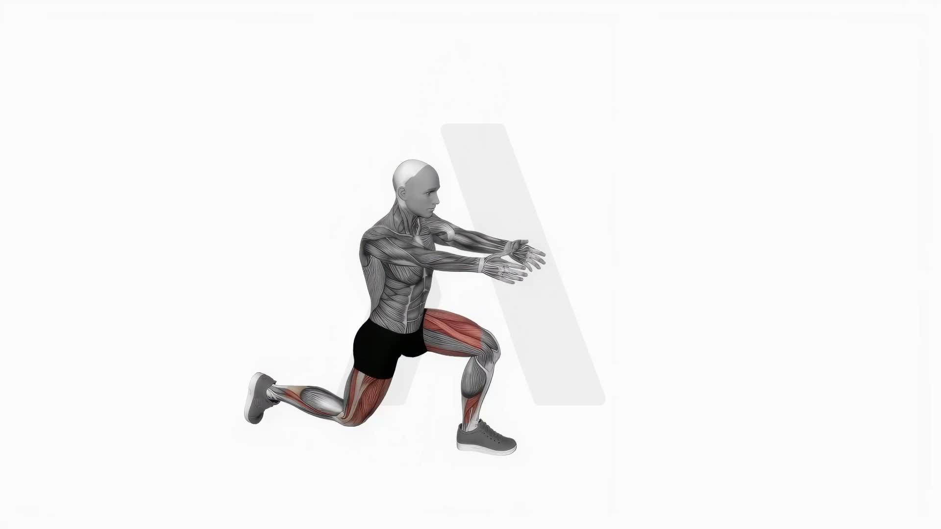 Bodyweight Rear Lunge Front Raise exercise demonstration
