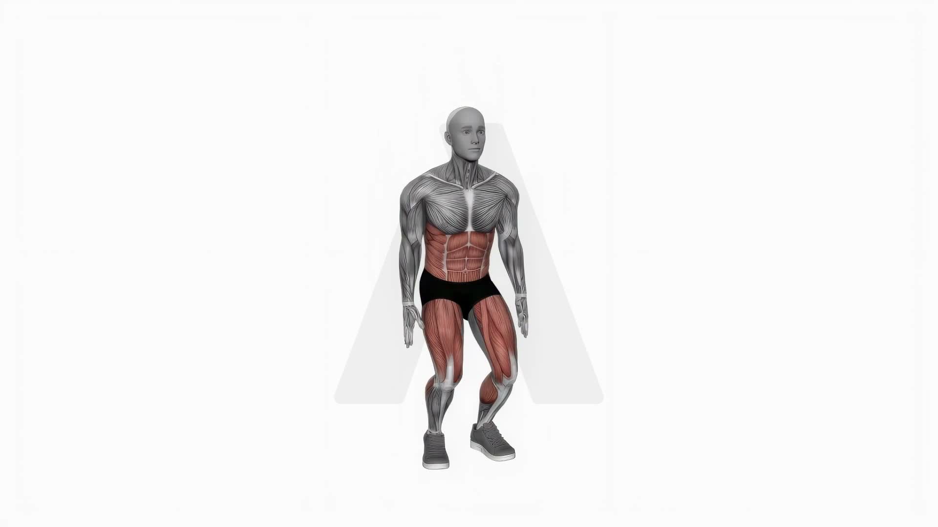 Bodyweight Squat To Side Leg exercise demonstration