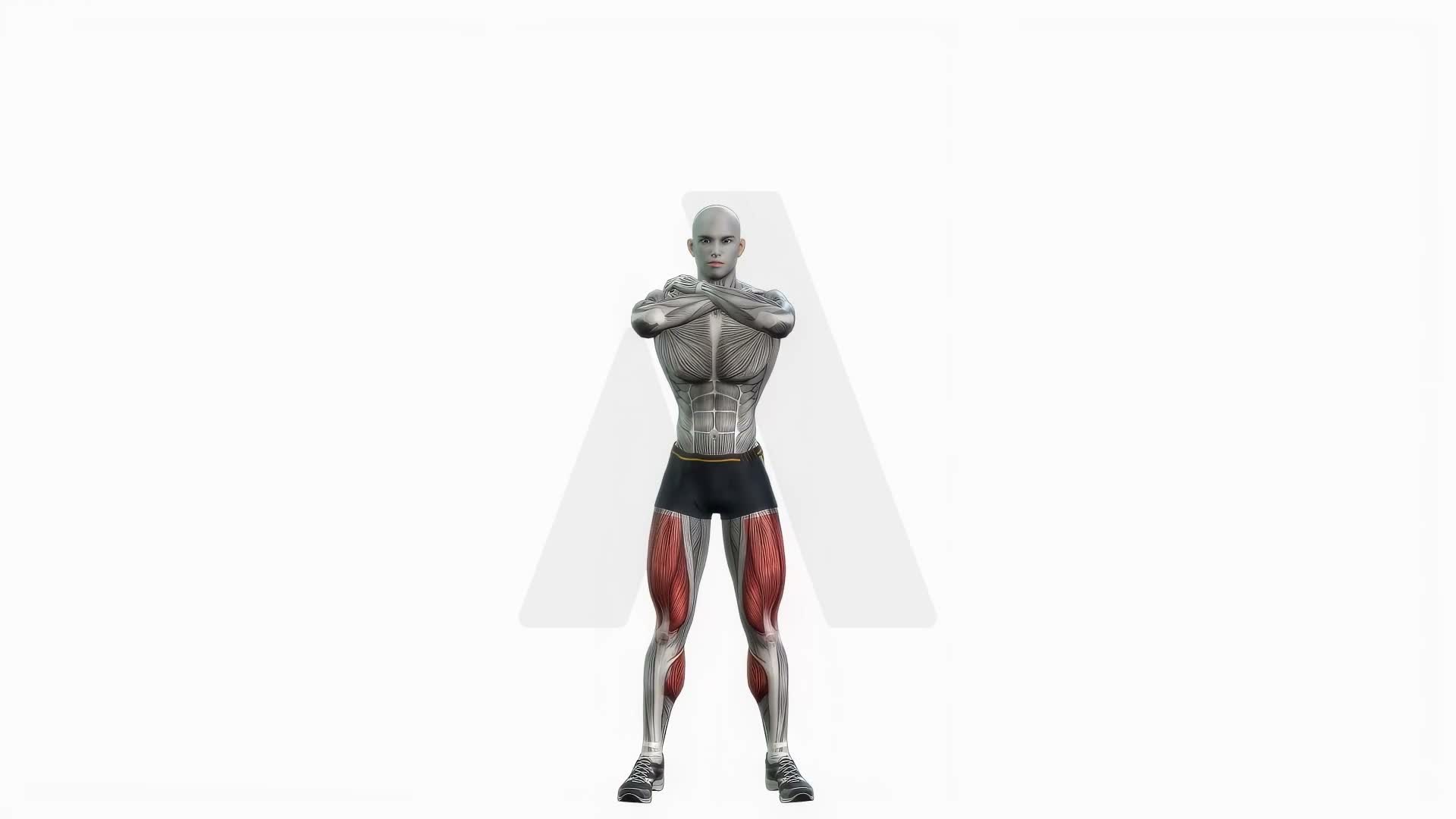 Bodyweight Squats exercise demonstration