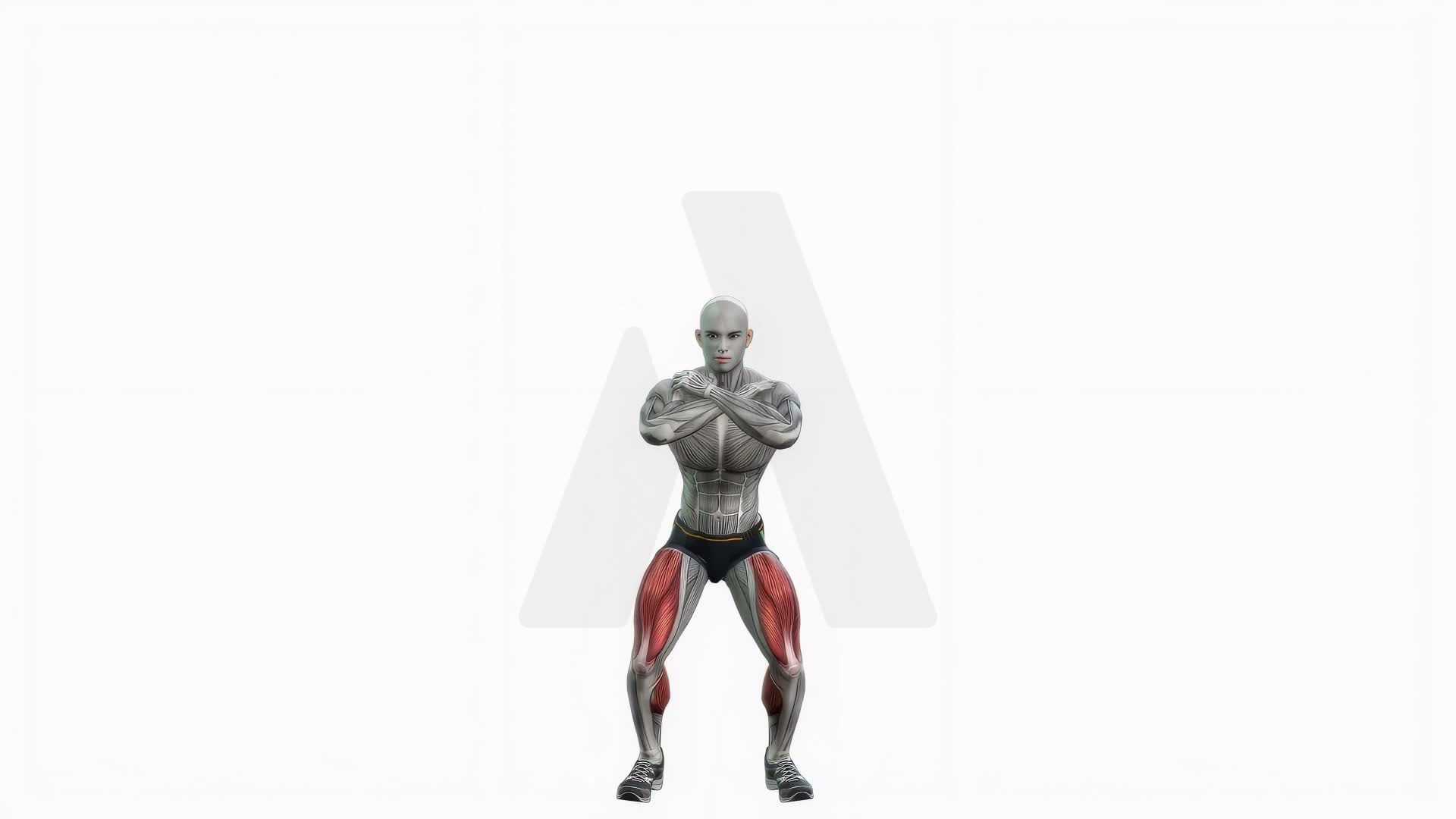 Bodyweight Squats Hold exercise demonstration