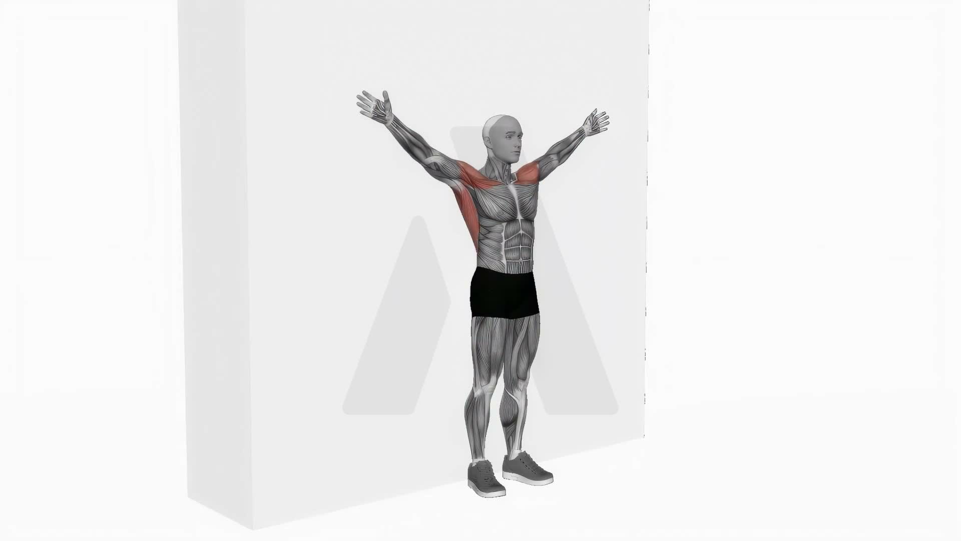 Bodyweight Standing Around World Wall Supported exercise demonstration