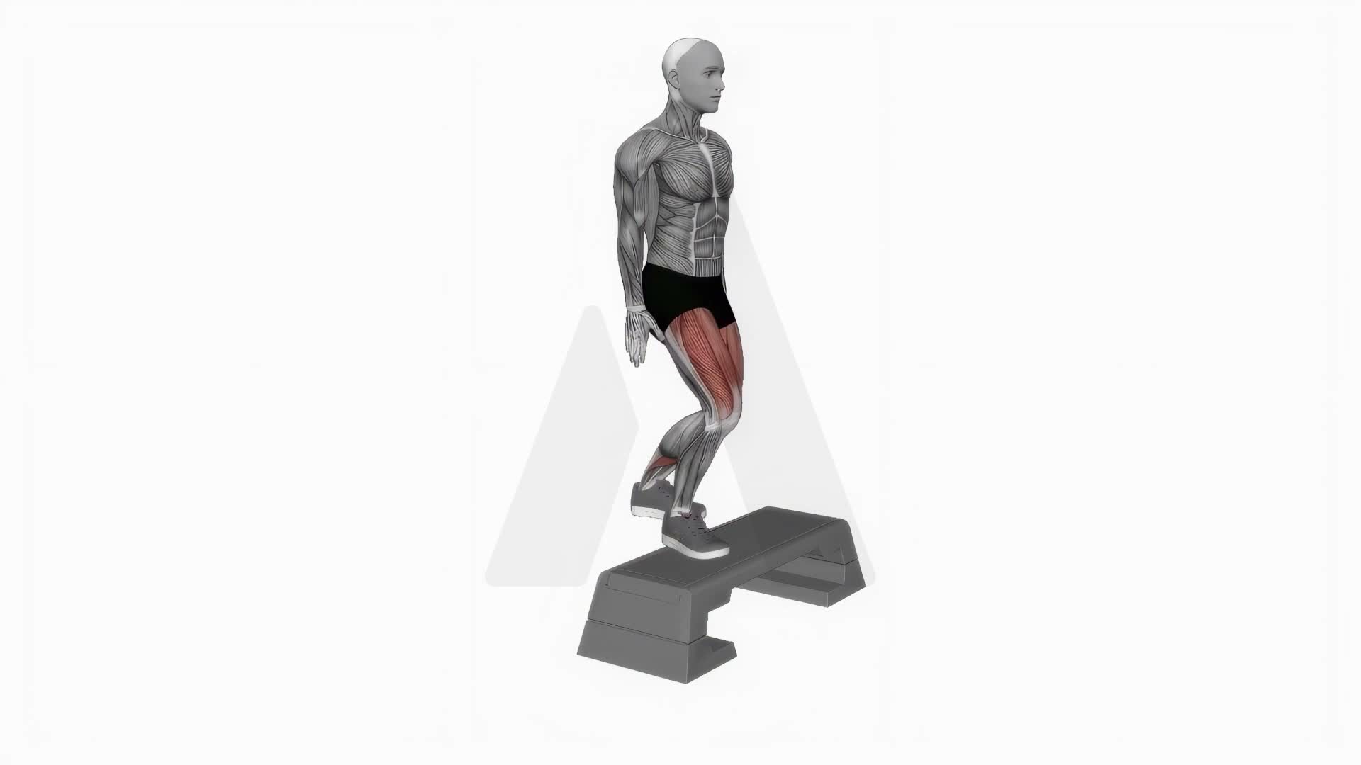 Bodyweight Step Up On Step Box exercise demonstration