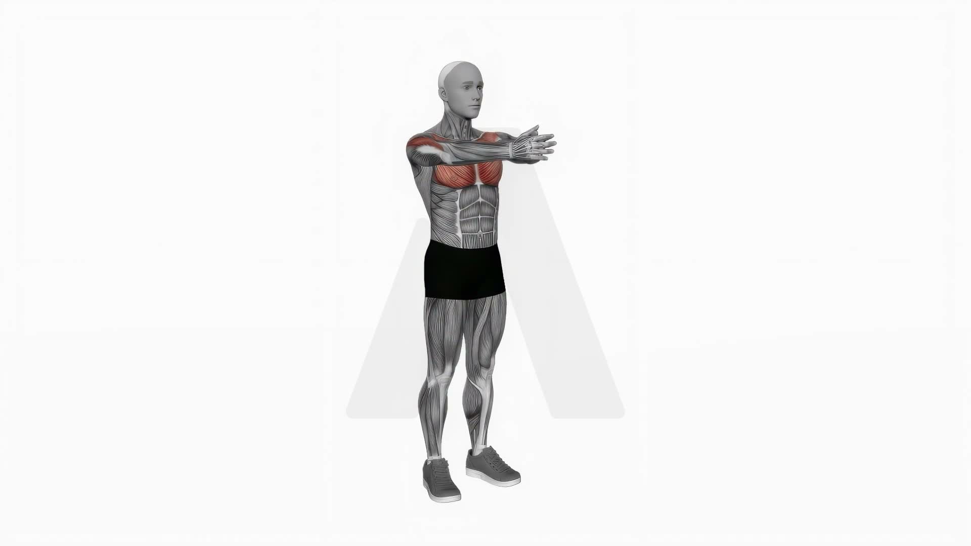 Bodyweight Svend Press exercise demonstration