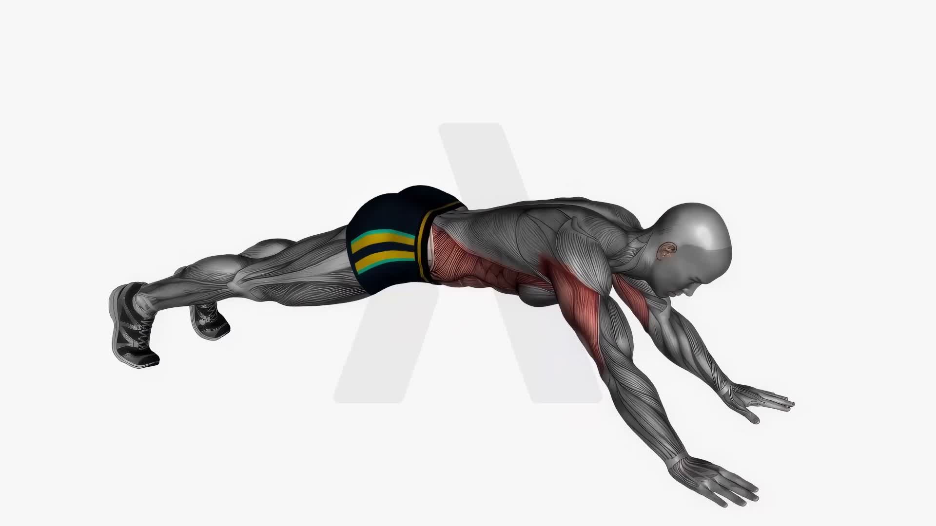 Bodyweight Triceps Extension exercise demonstration