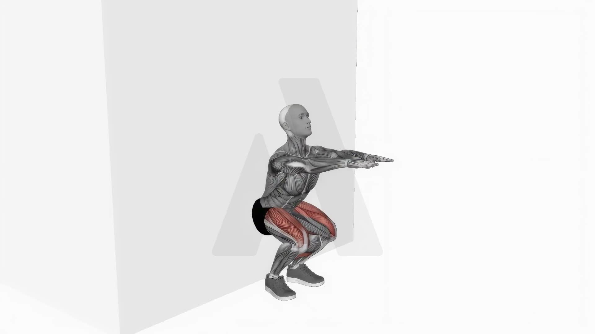 Bodyweight Wall Squat exercise demonstration