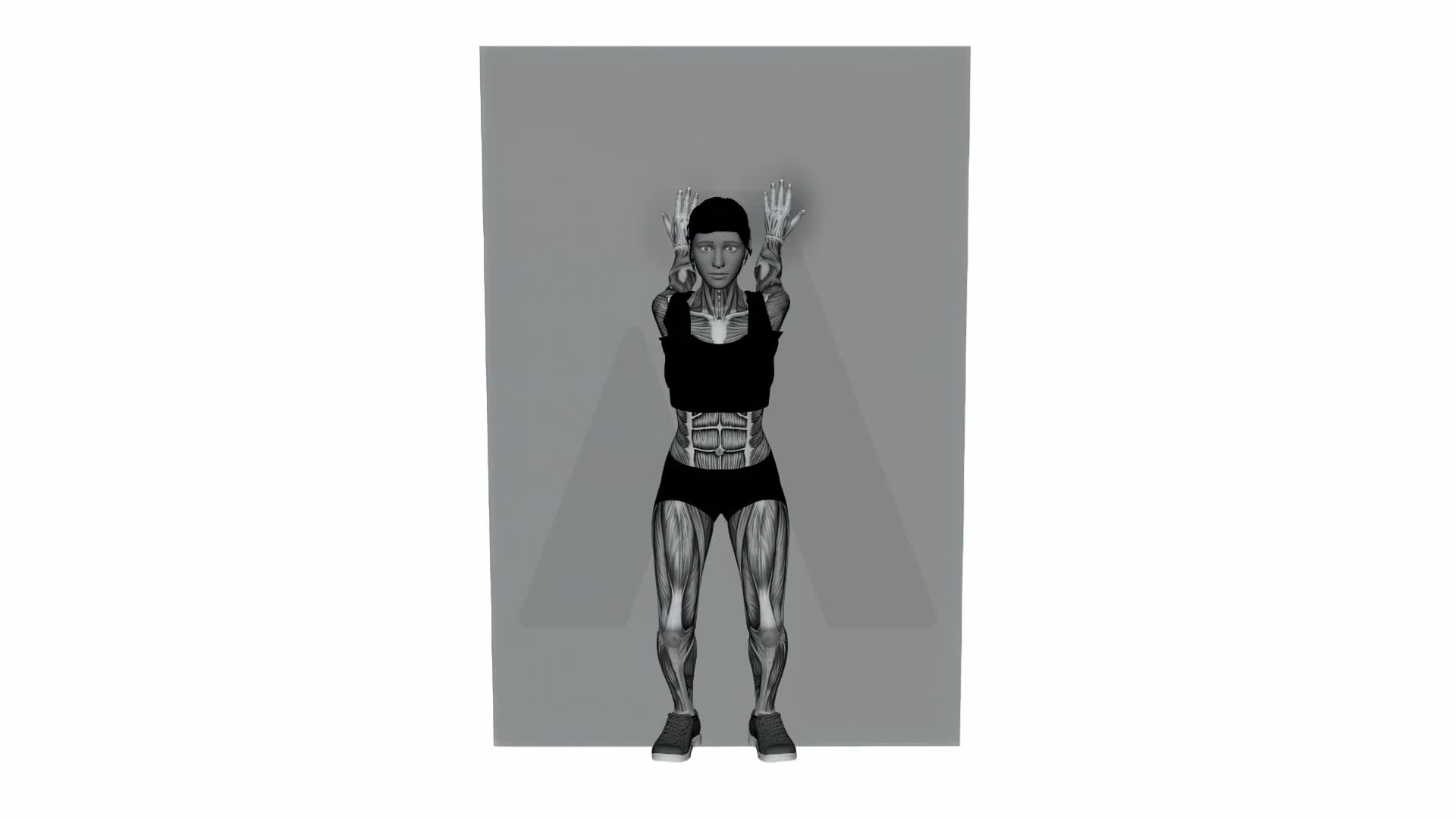Both Arms Behind On Wall Biceps Stretch exercise demonstration