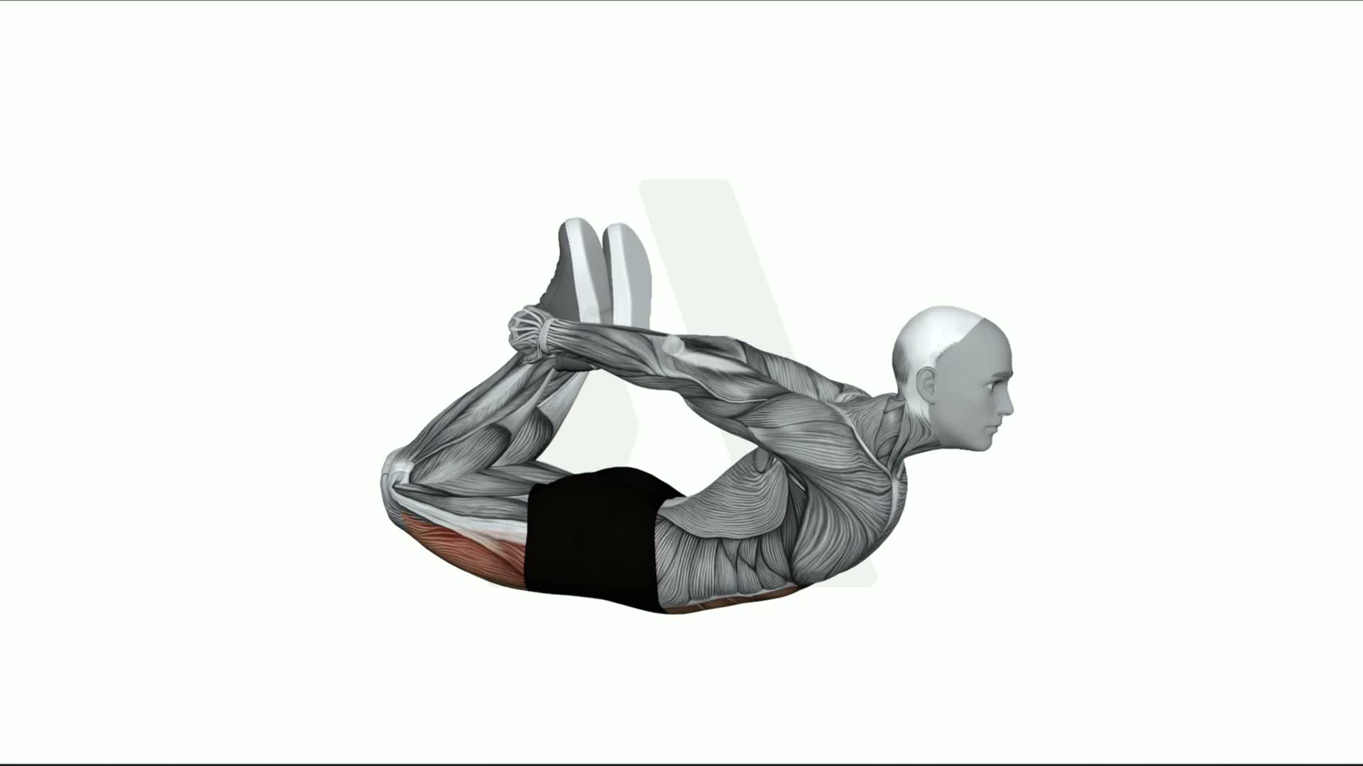 Bow Pose exercise demonstration