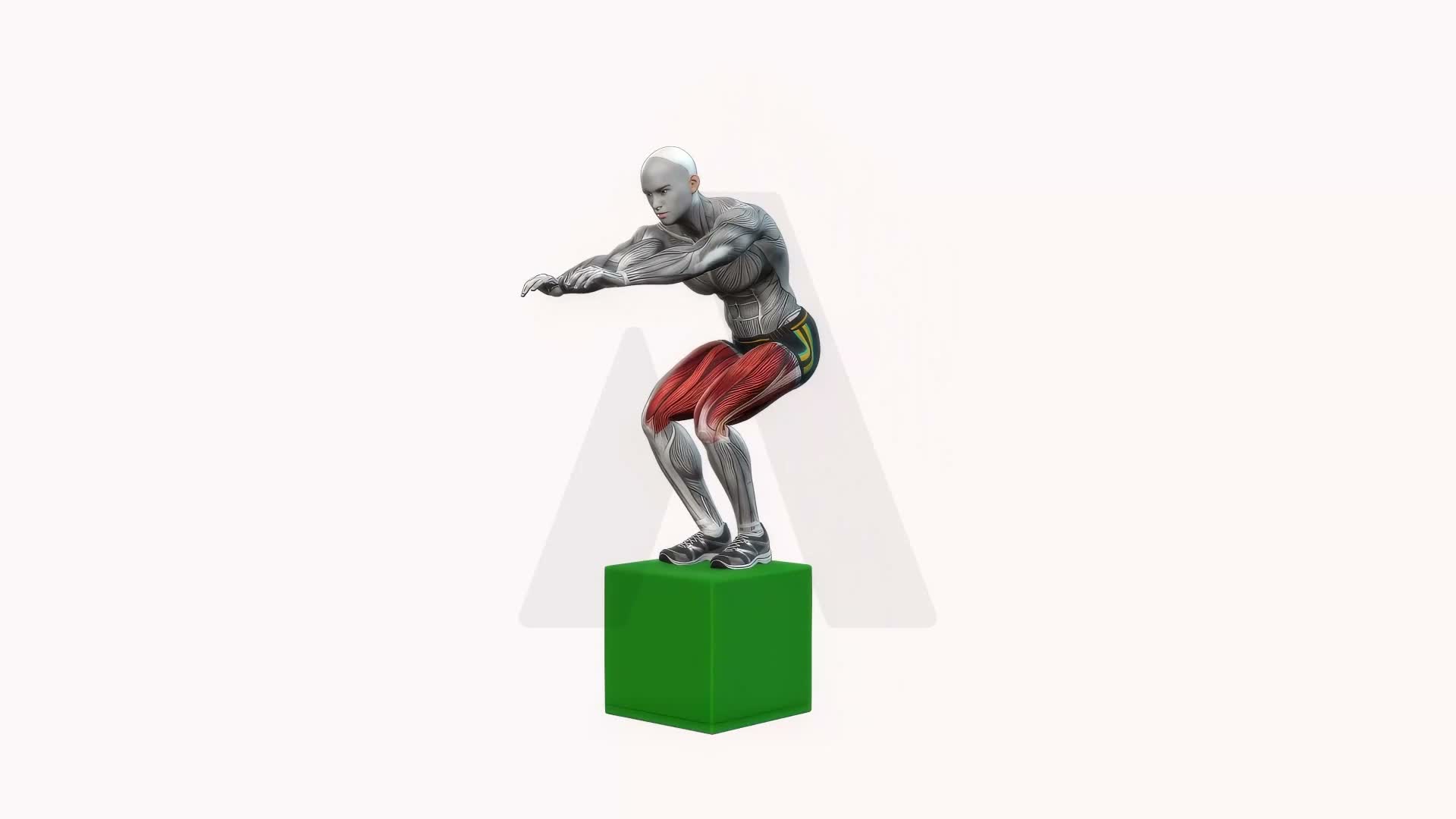 Box Jump Squats exercise demonstration