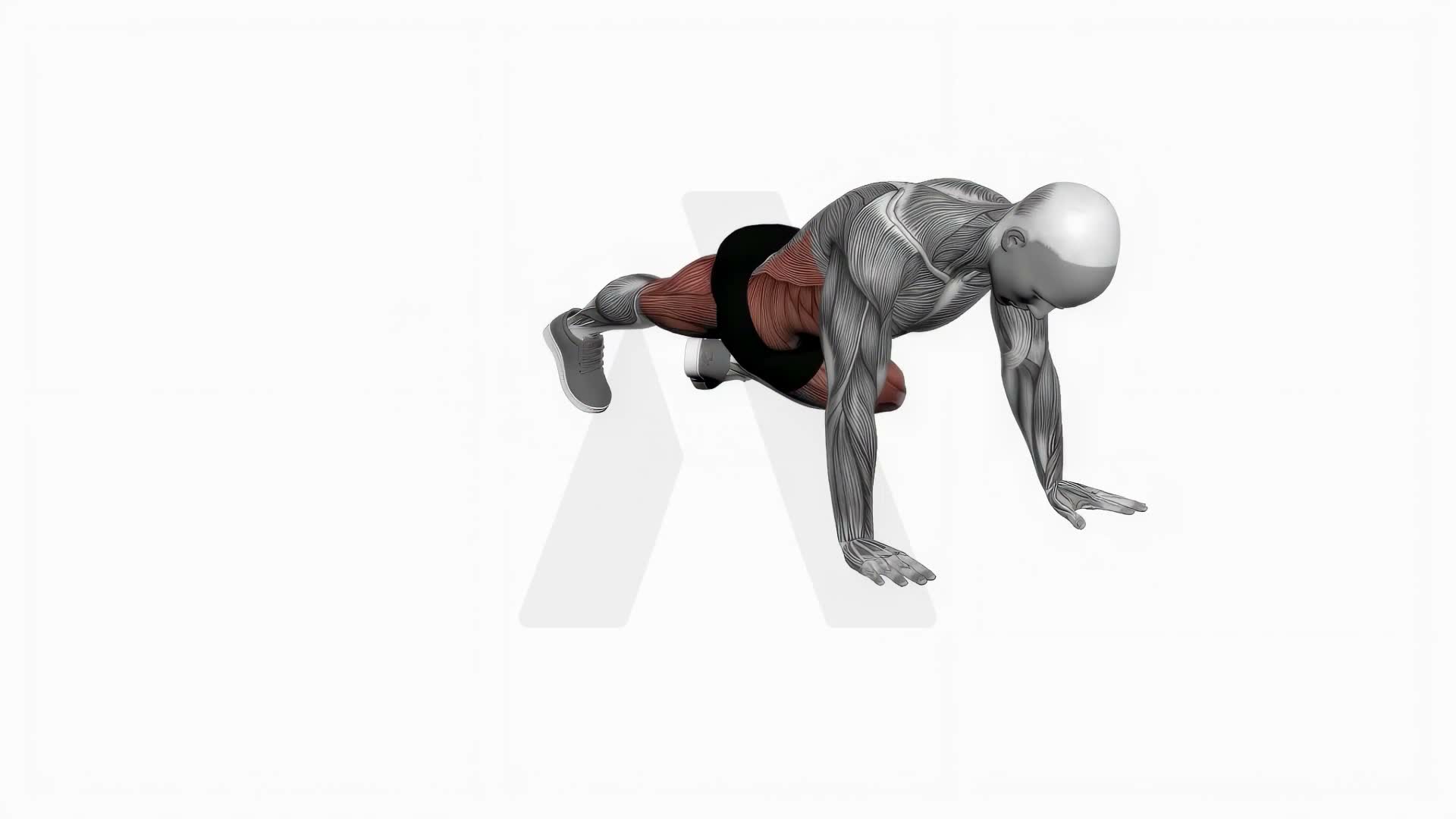 Bridge Mountain Climber (Cross Body) exercise demonstration