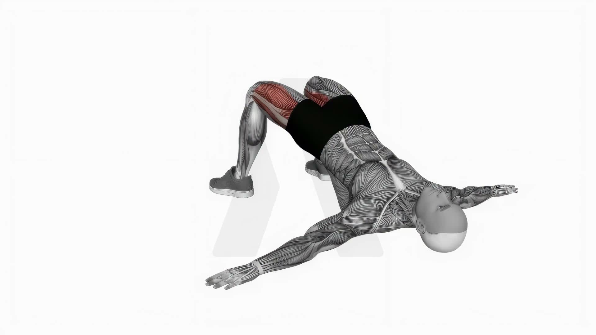Bridge Hip Abduction exercise demonstration