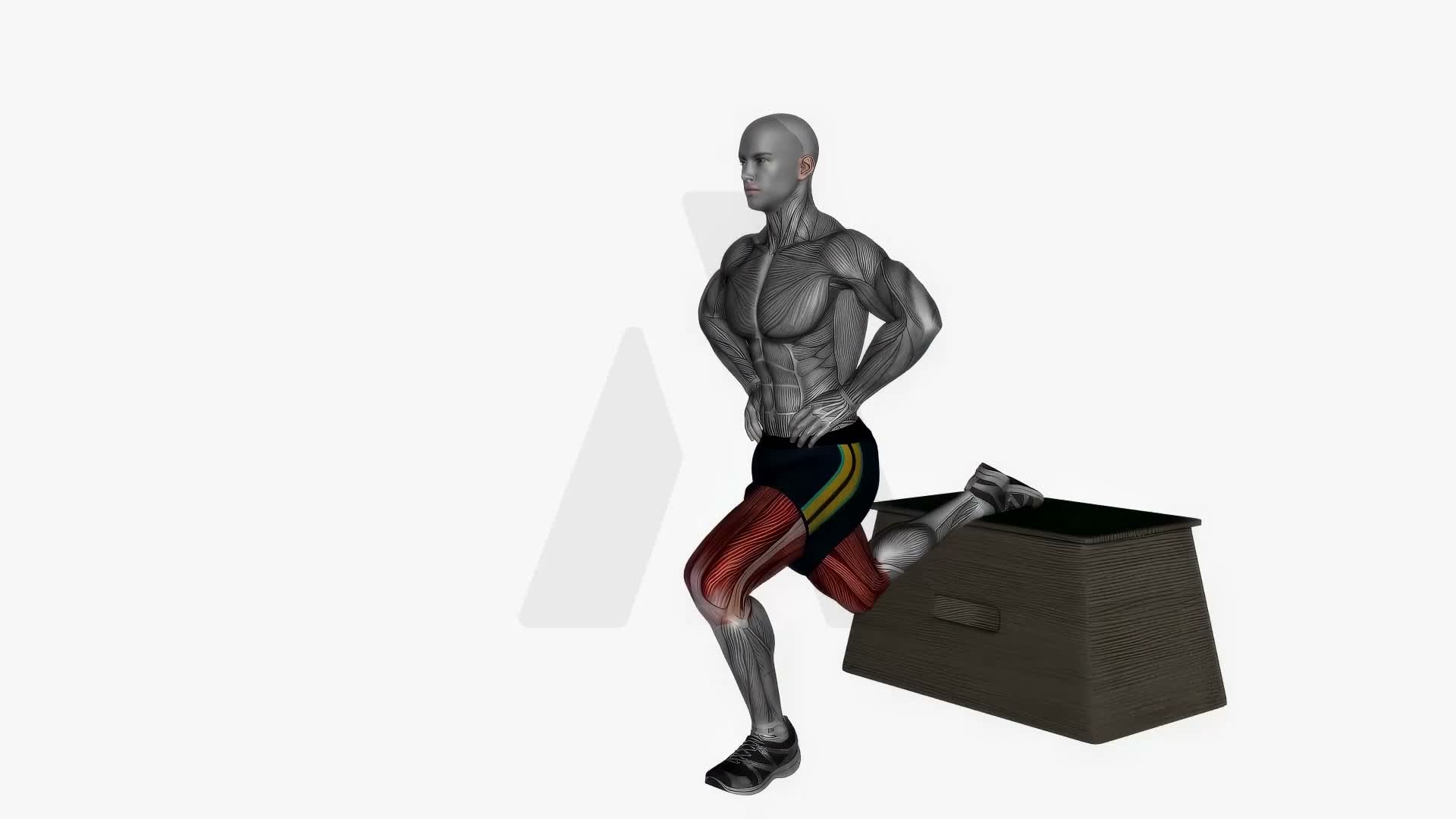 Bulgarian Split Squat Bodyweight Left exercise demonstration