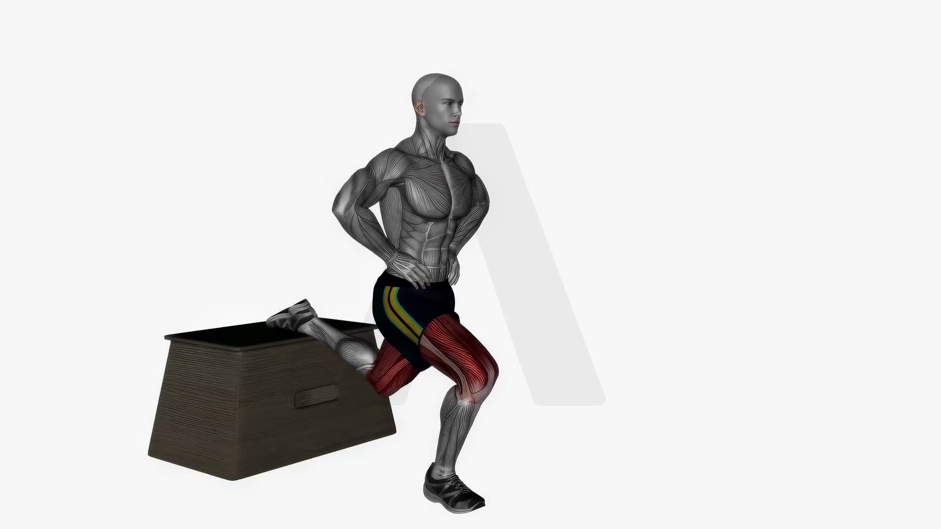 Bulgarian Split Squat Bodyweight Right exercise demonstration