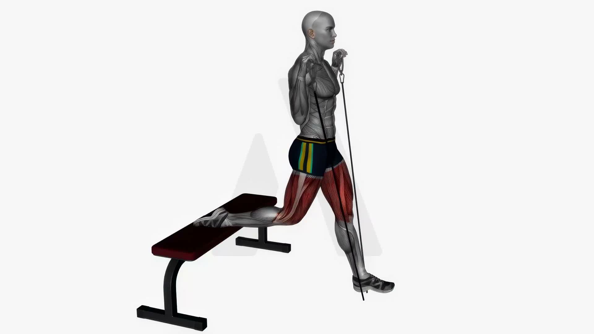Bulgarian Split Squat Cable Resistance Band exercise demonstration