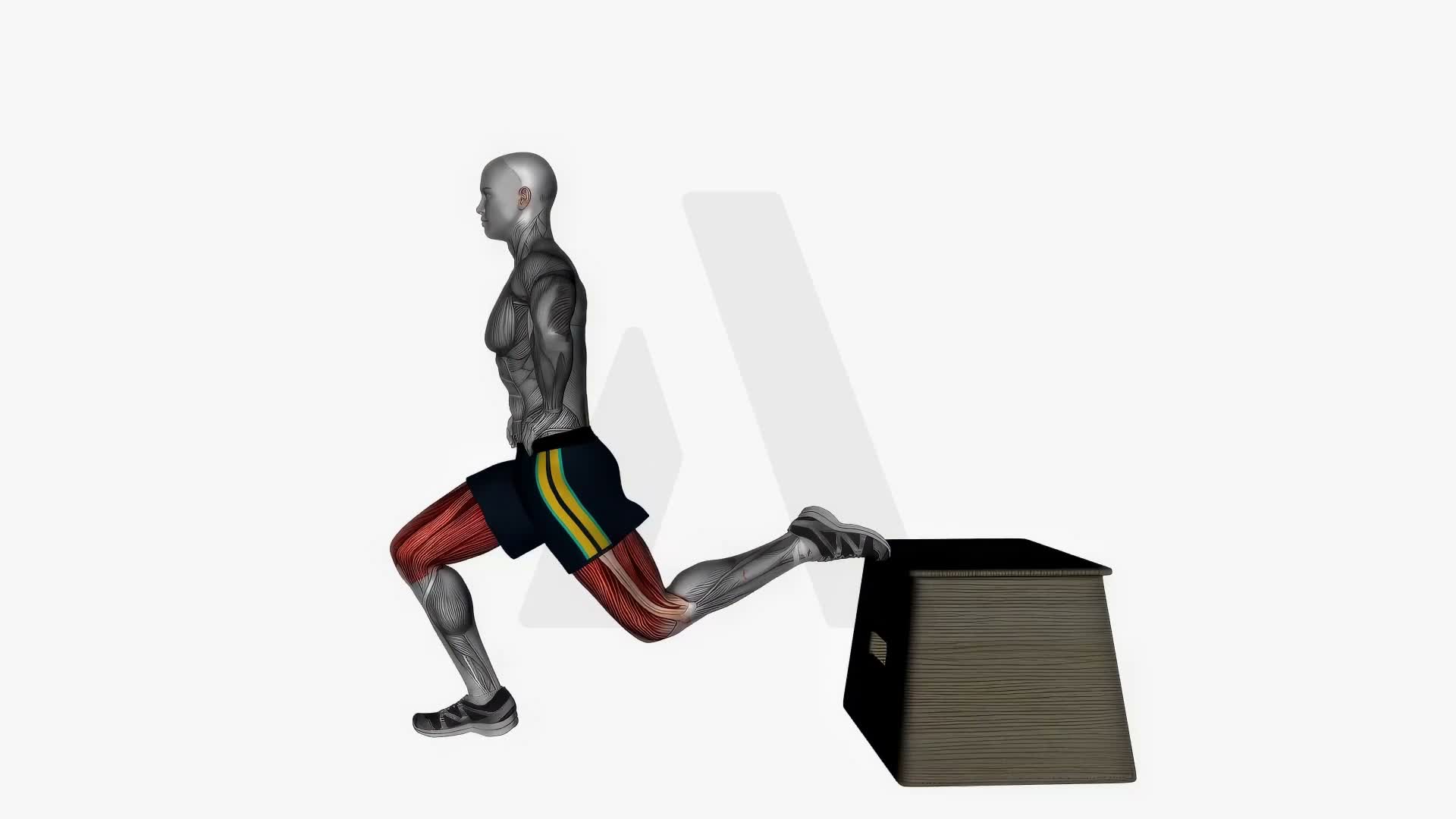 Bulgarian Split Squat Left Bodyweight Side View exercise demonstration