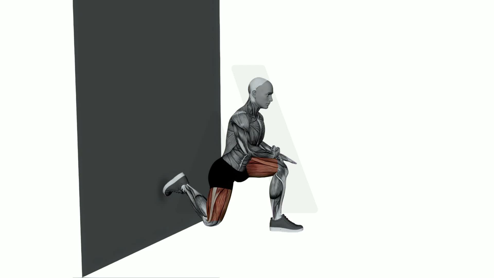 Bulgarian Split Squat Stretch exercise demonstration