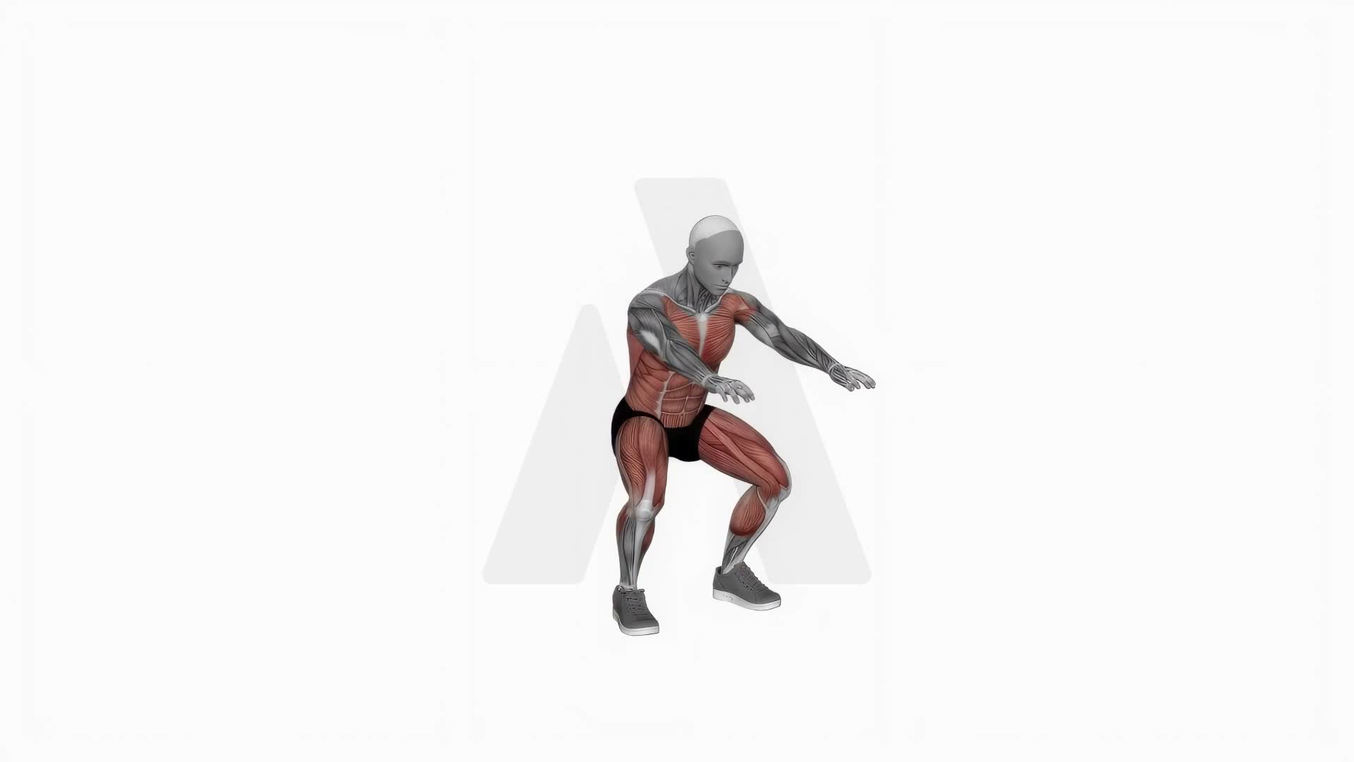 Burpee Squat exercise demonstration
