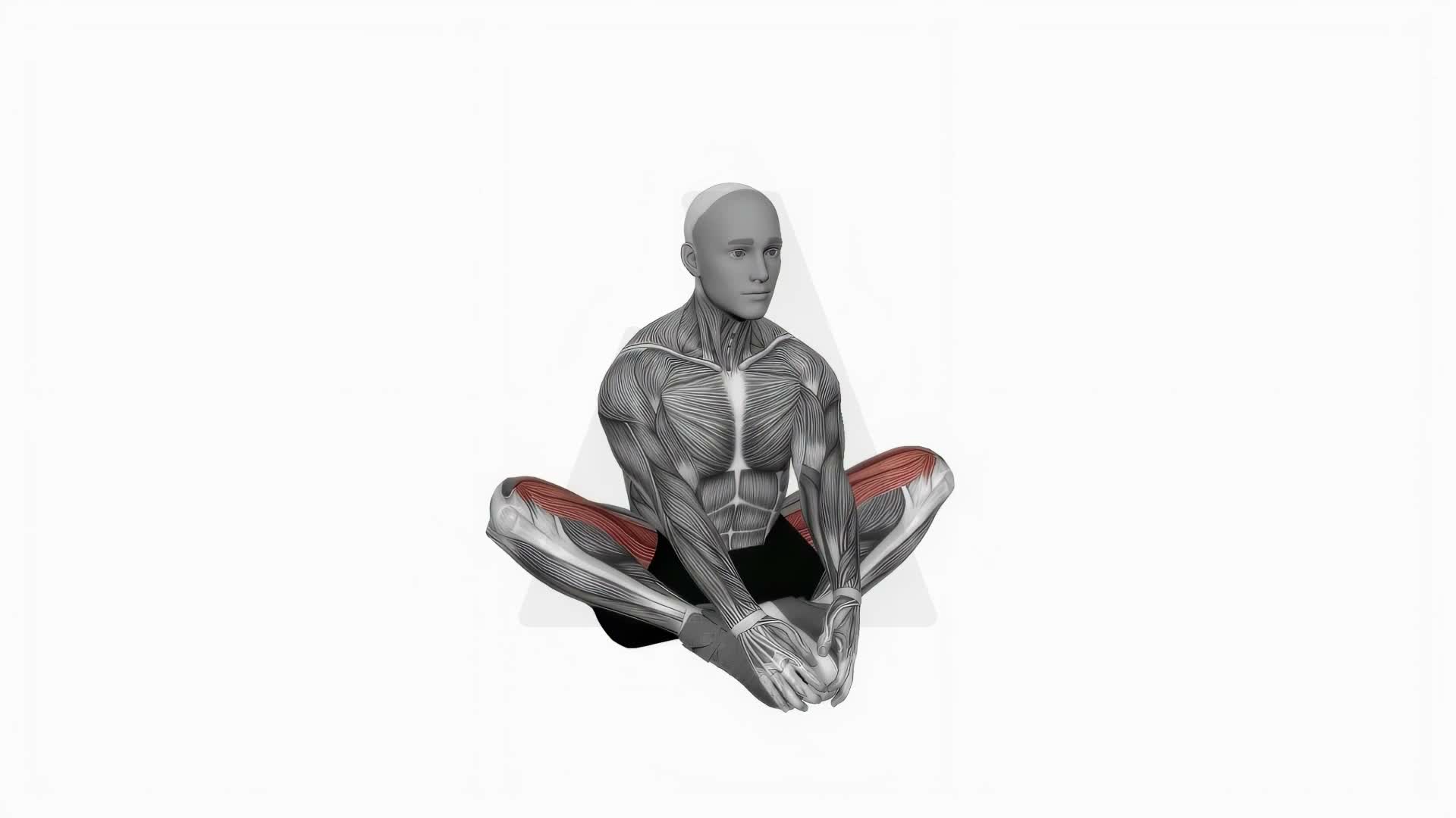 Butterfly Yoga Flaps exercise demonstration