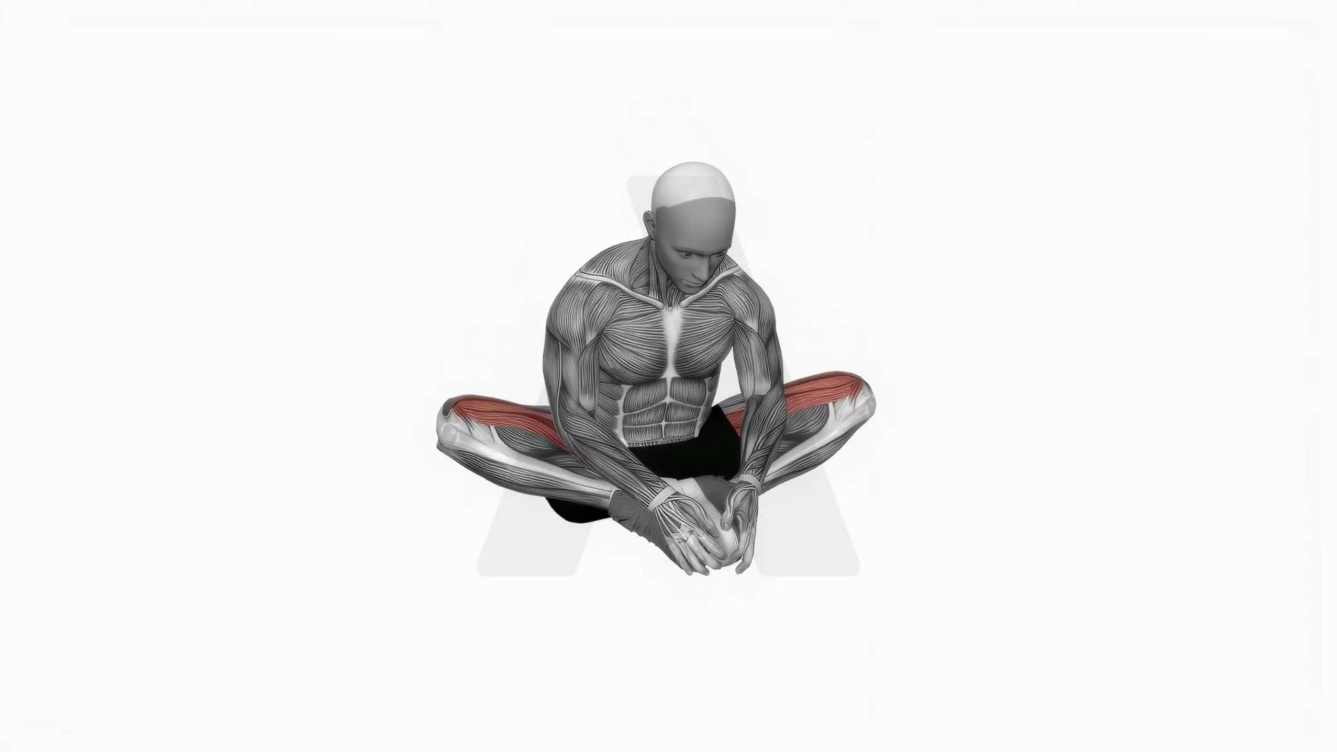 Butterfly Yoga Pose exercise demonstration