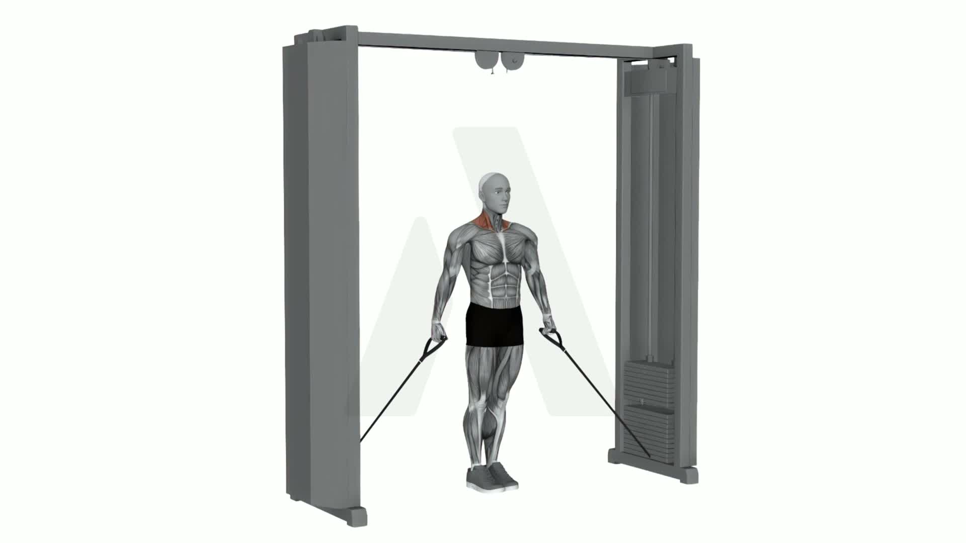 Cable 30 Degree Shrug exercise demonstration