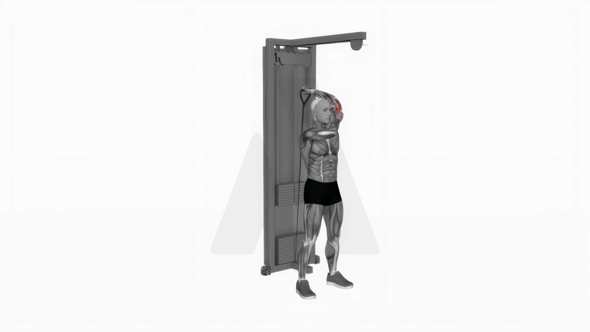 Cable Alternate Triceps Extension exercise demonstration