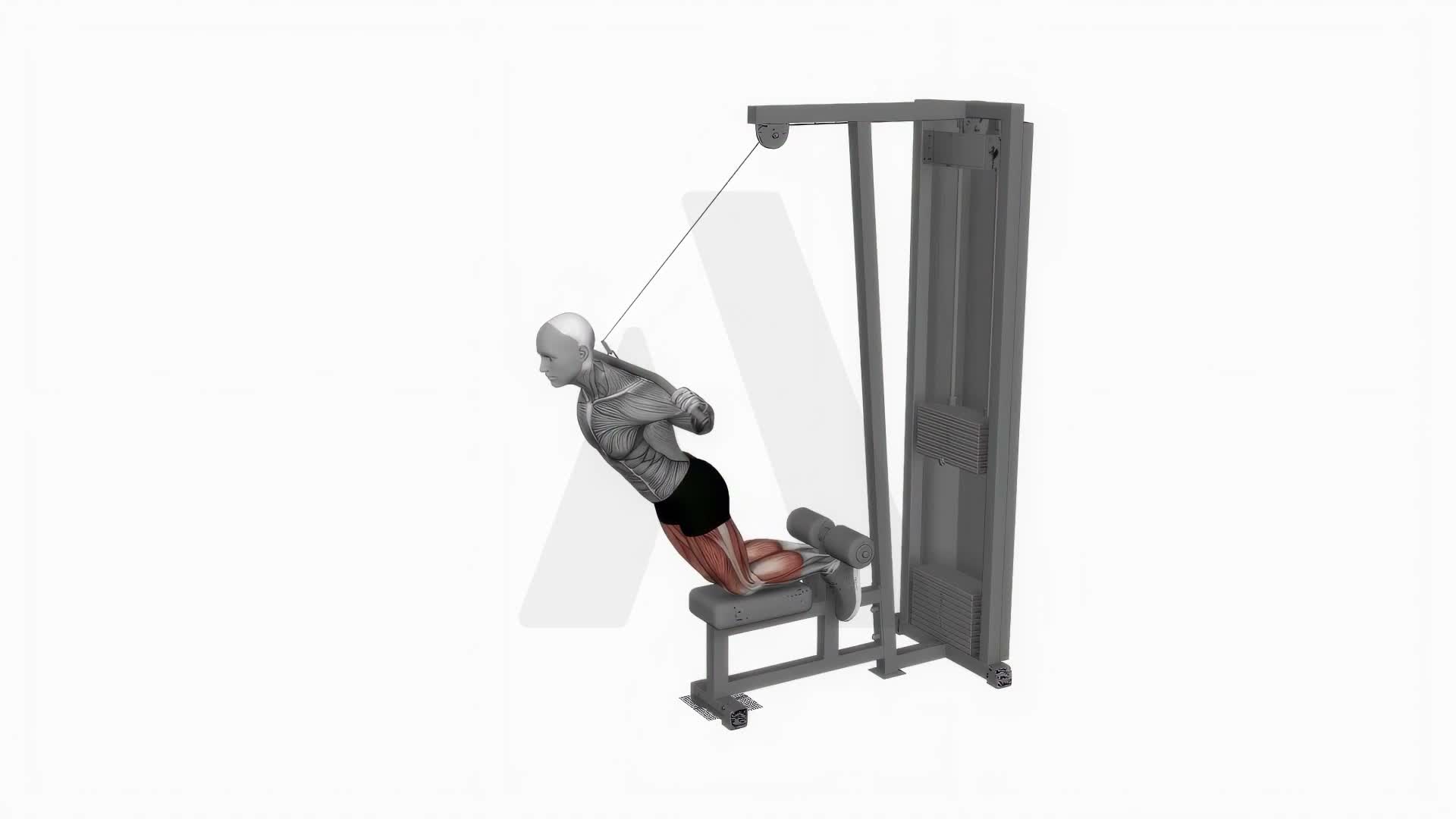 Cable Assisted Inverse Leg Curl exercise demonstration