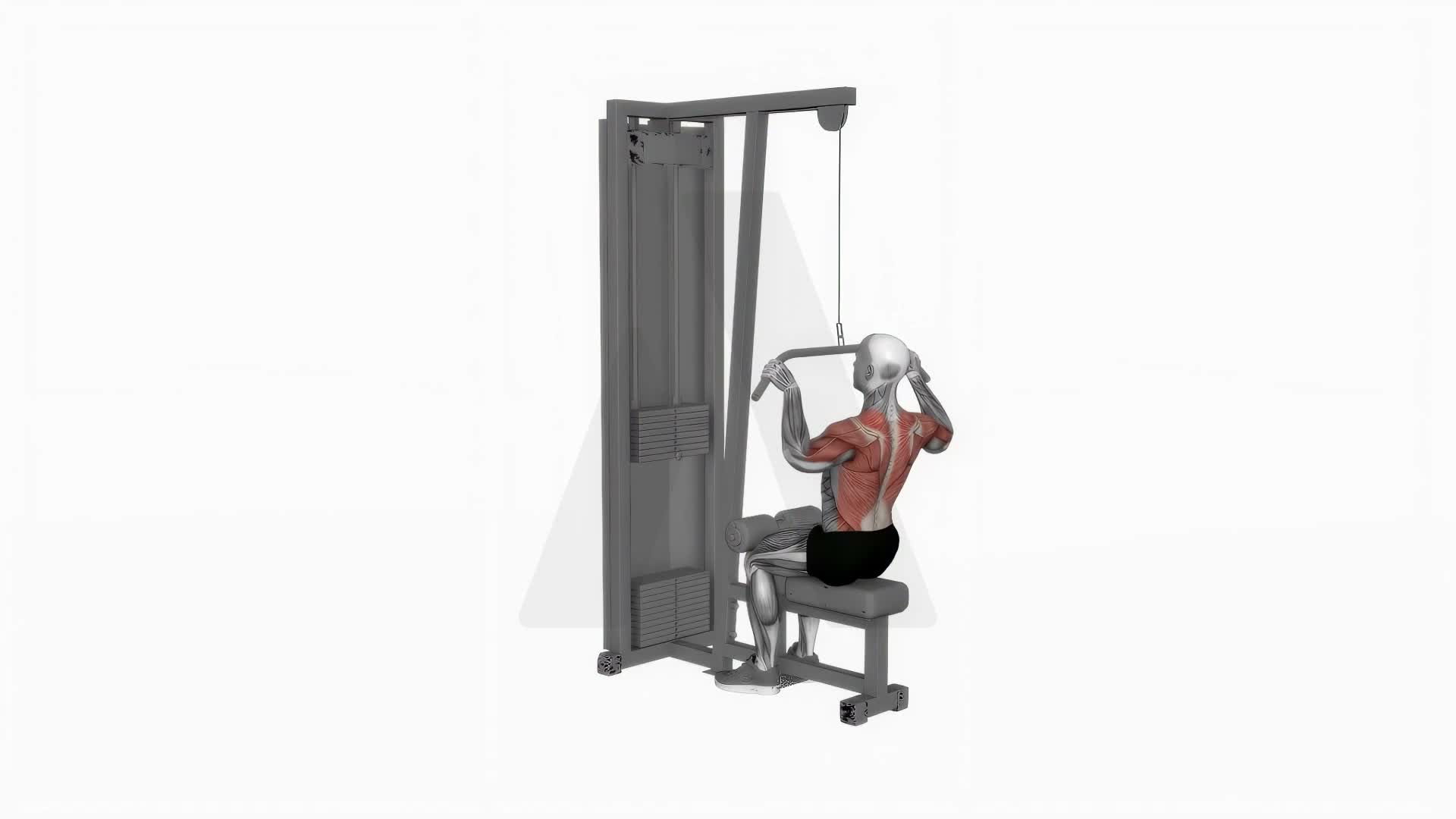 Cable Bar Lateral Pulldown exercise demonstration