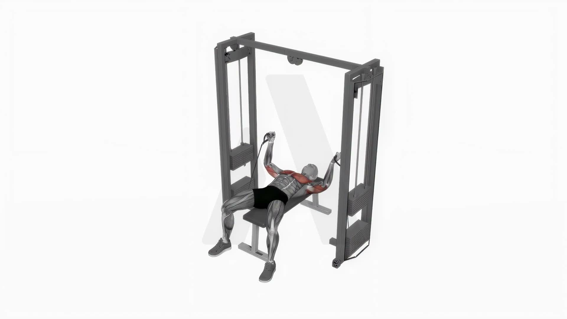 Cable Bench Fly Press exercise demonstration