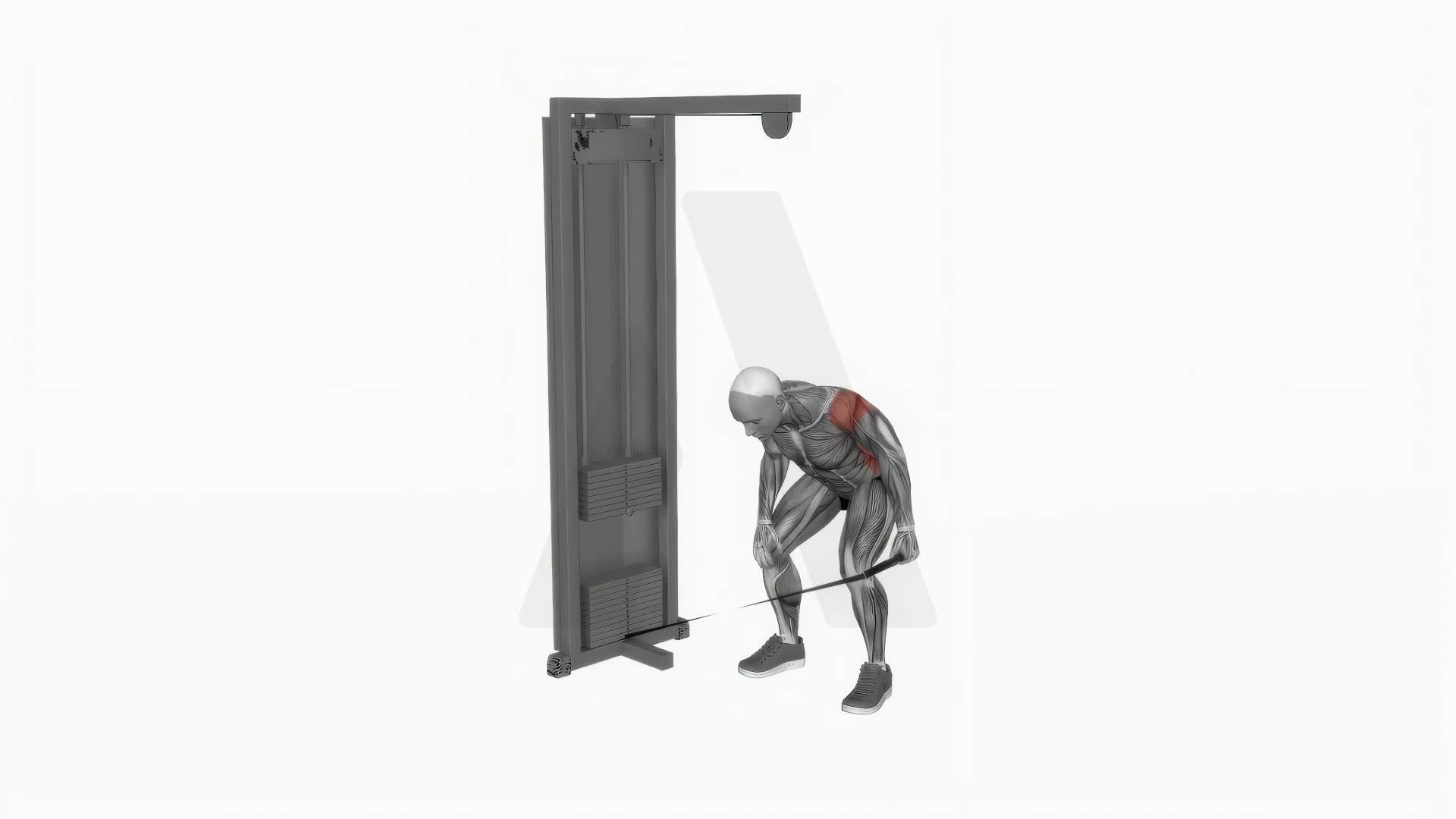 Cable Bent Over One Arm Lateral Raise exercise demonstration