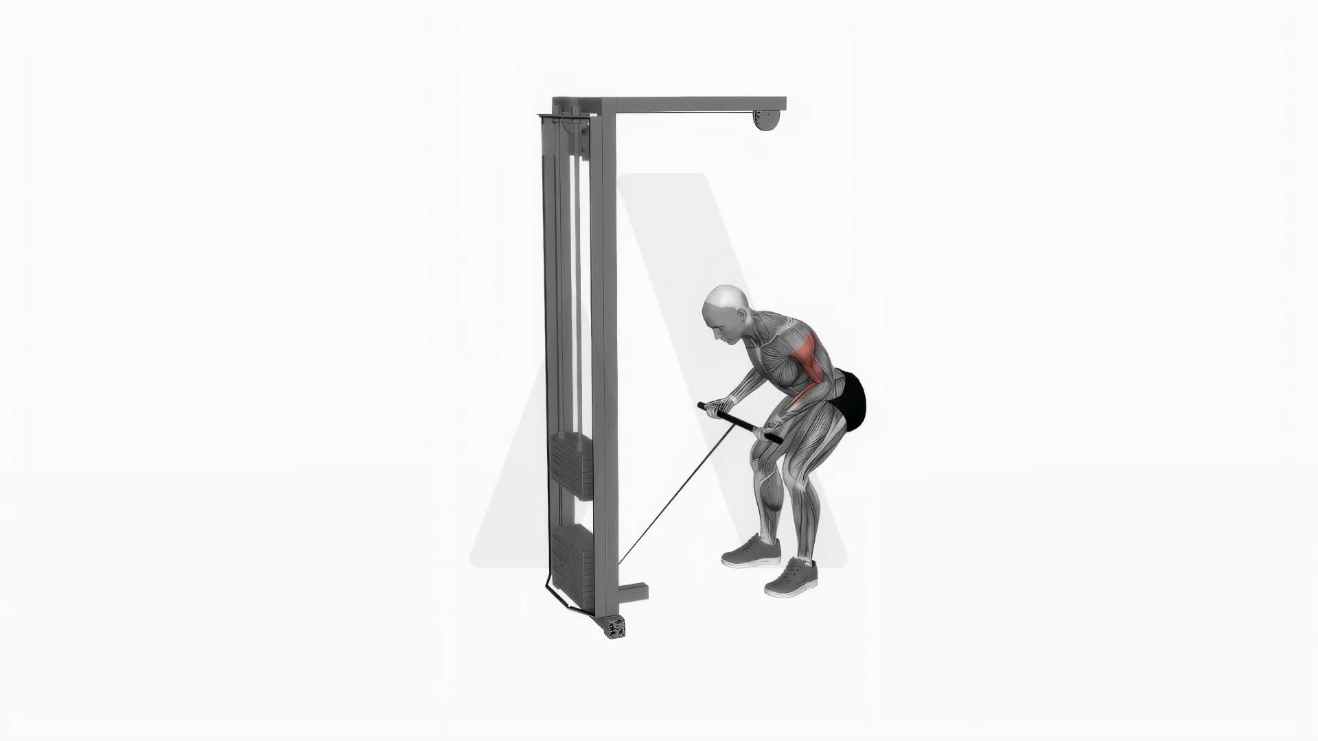 Cable Bent Over Reverse Grip Row exercise demonstration