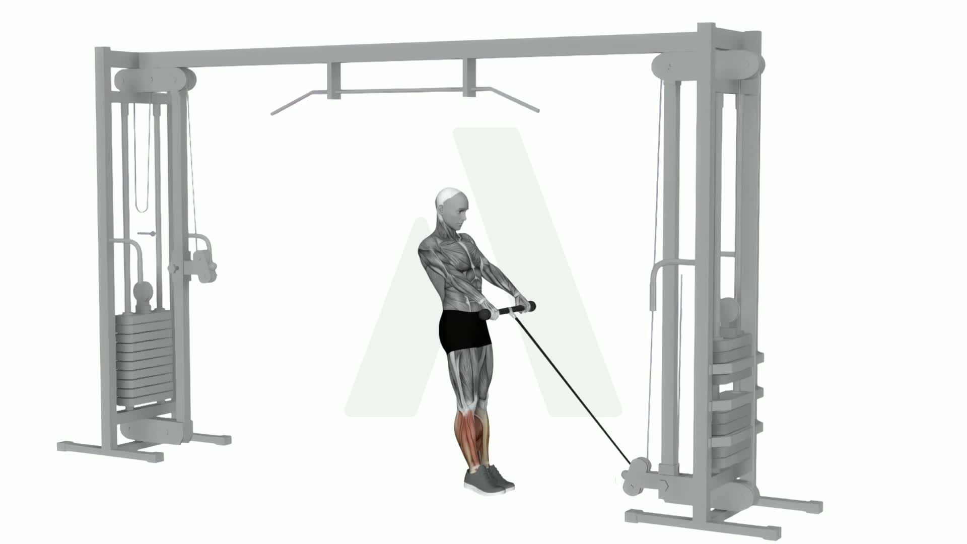 Cable Calve Raise exercise demonstration