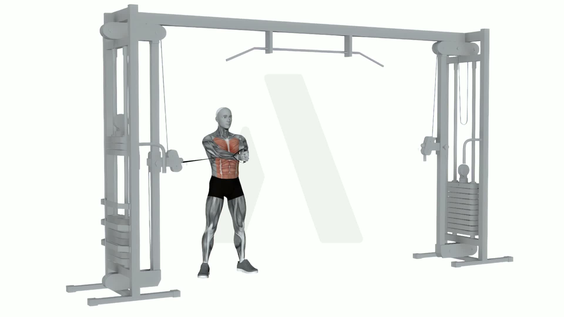 Cable Core Palloff Press exercise demonstration