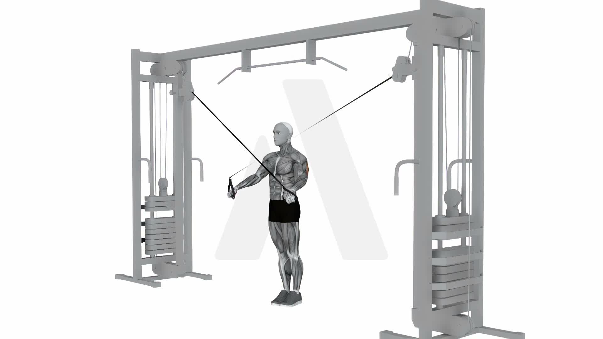 Cable Cross Pushdown exercise demonstration