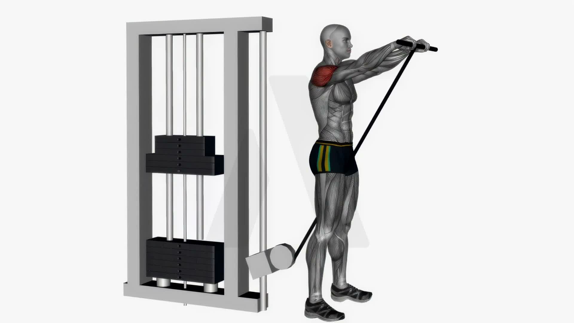 Cable Front Raises Straight Bar exercise demonstration