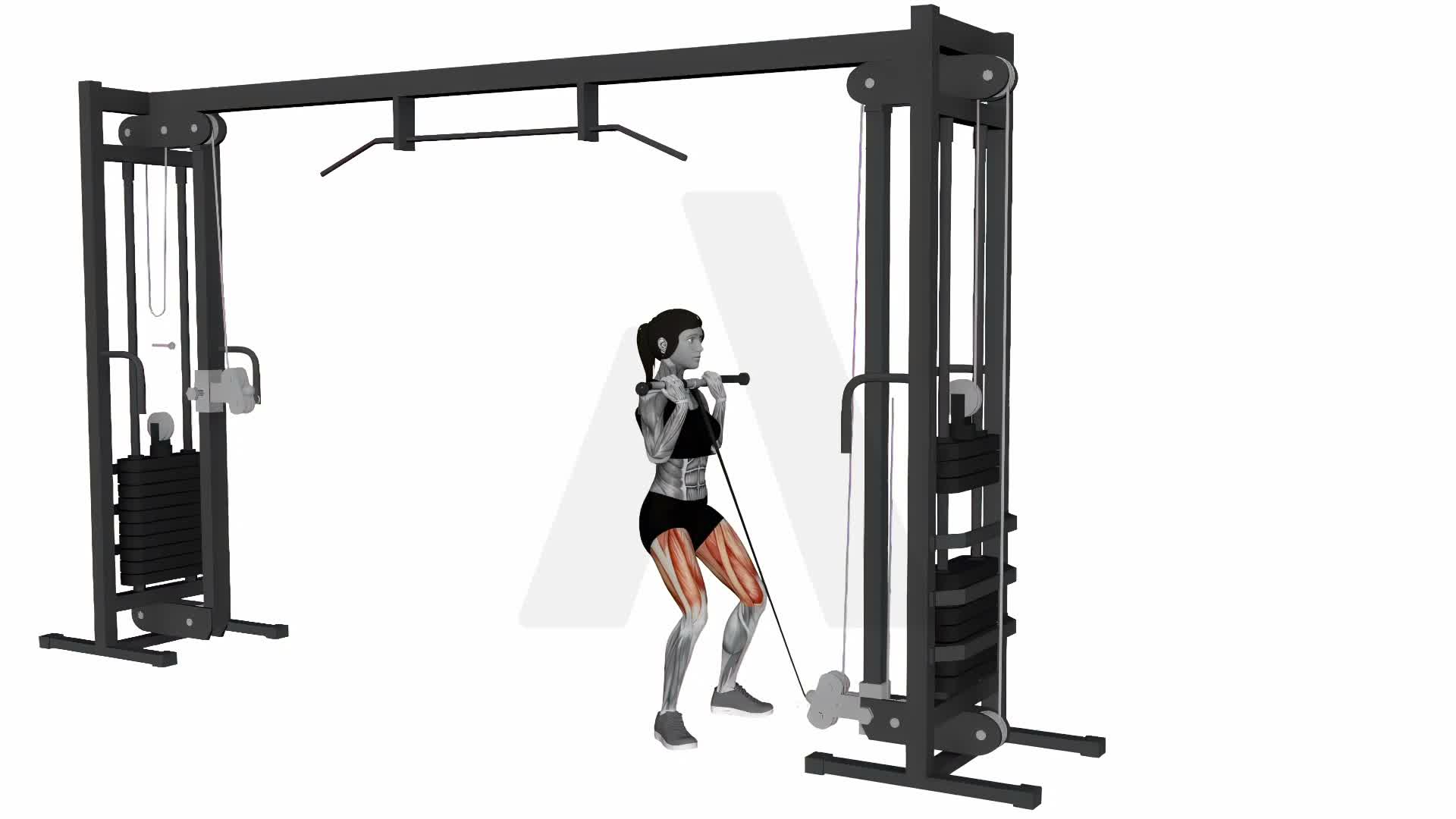 Cable Goblet Squat exercise demonstration