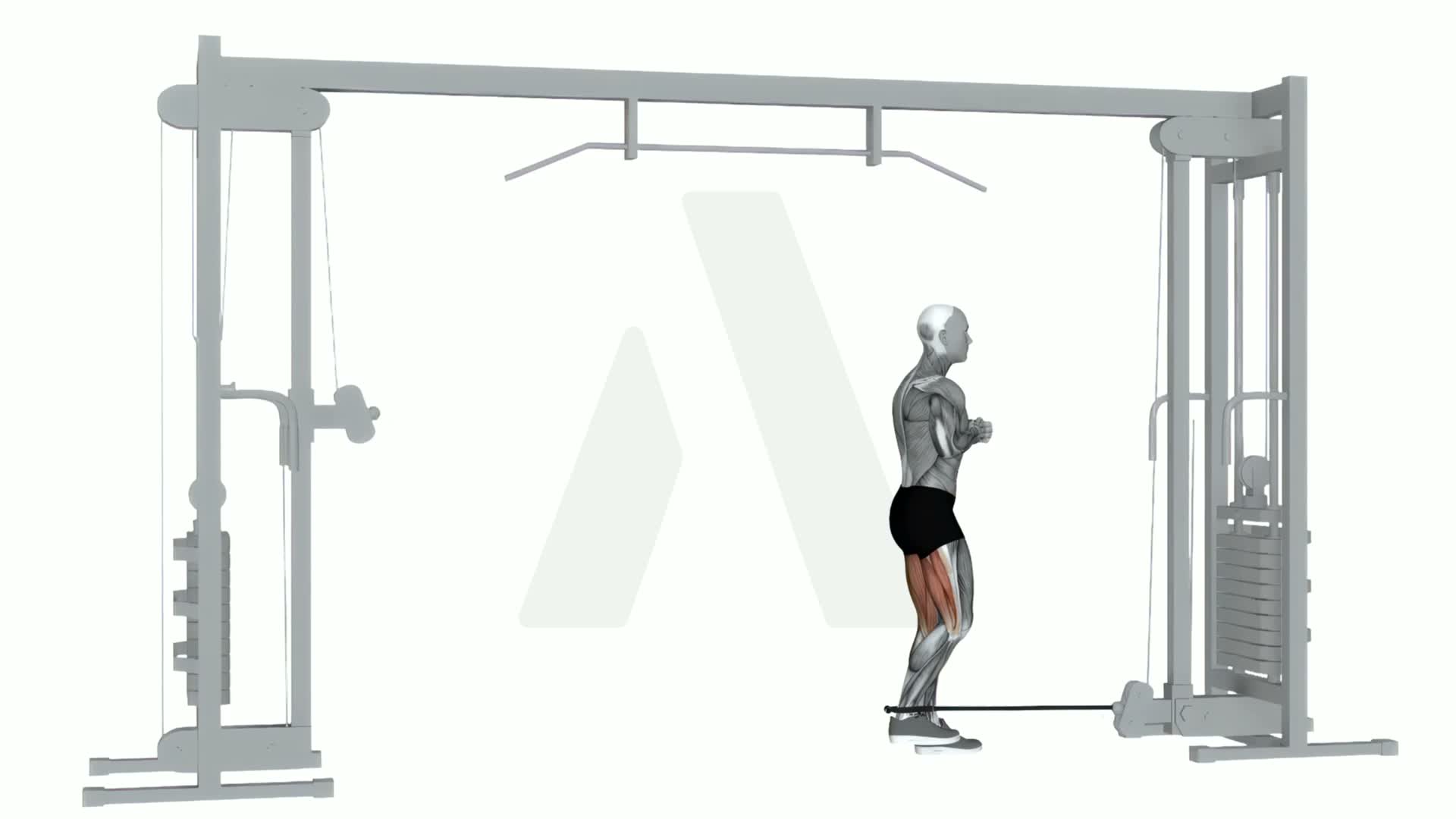 Cable Hamstring Curl exercise demonstration