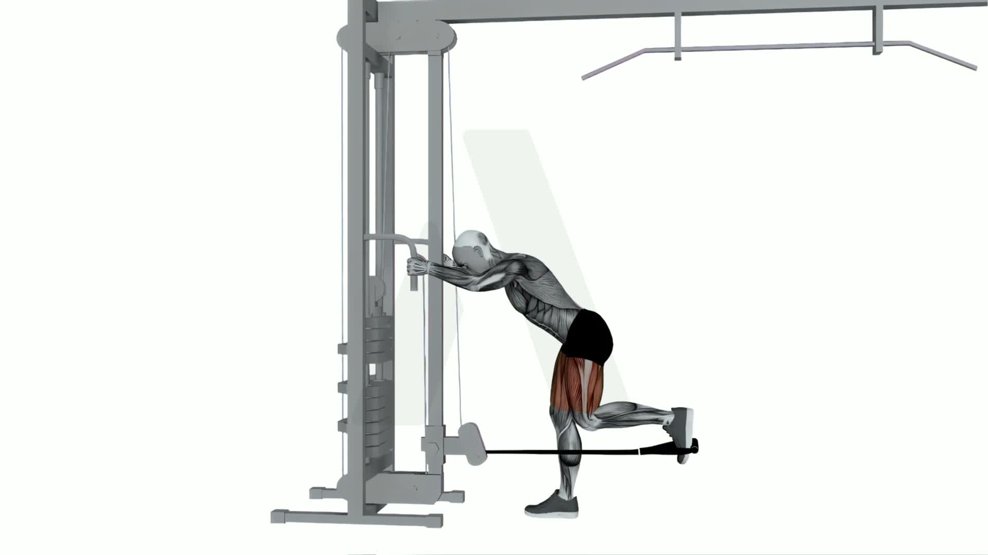 Cable Individual Glute Kickbacks exercise demonstration