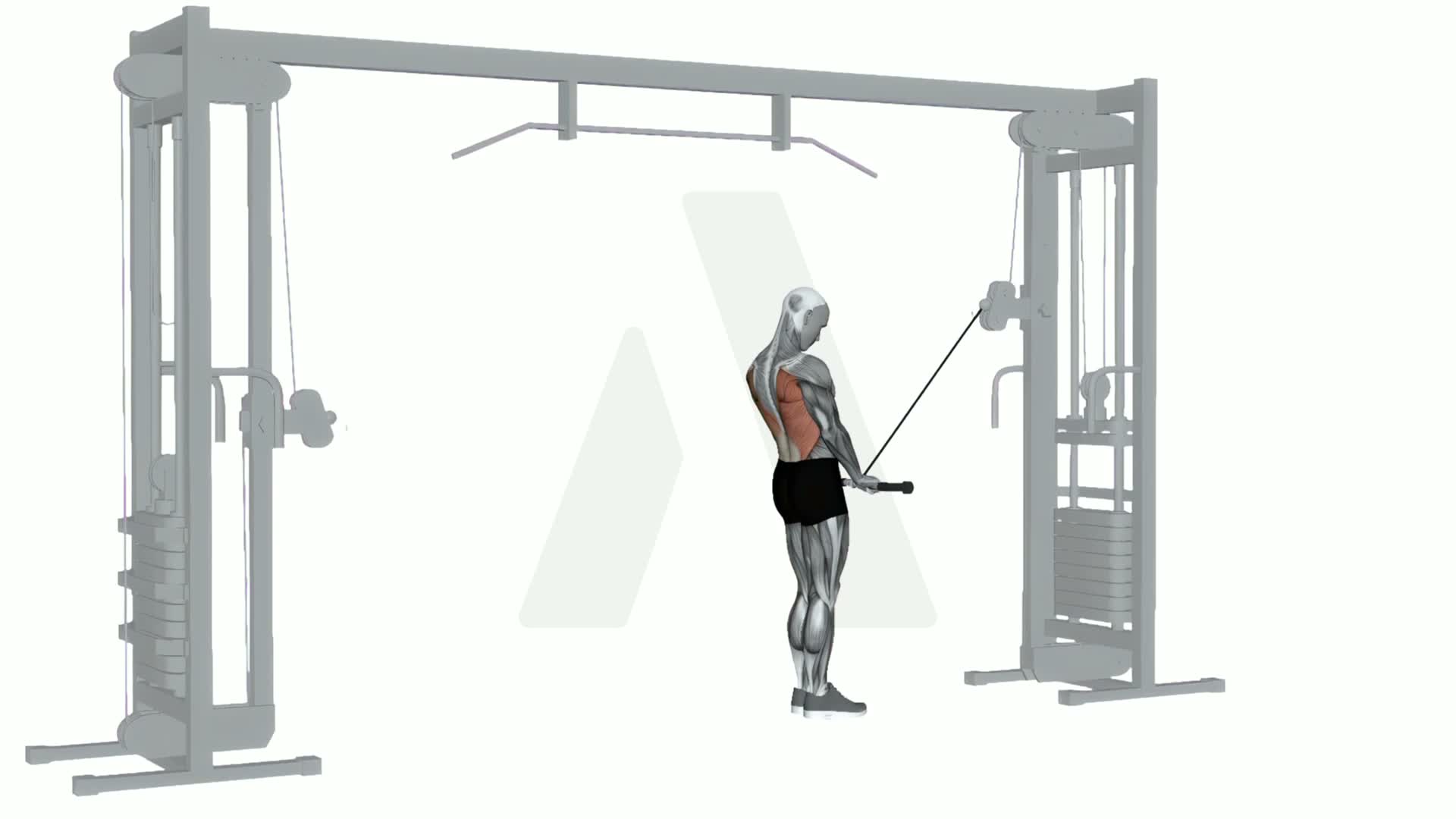 Cable Lat Prayer exercise demonstration