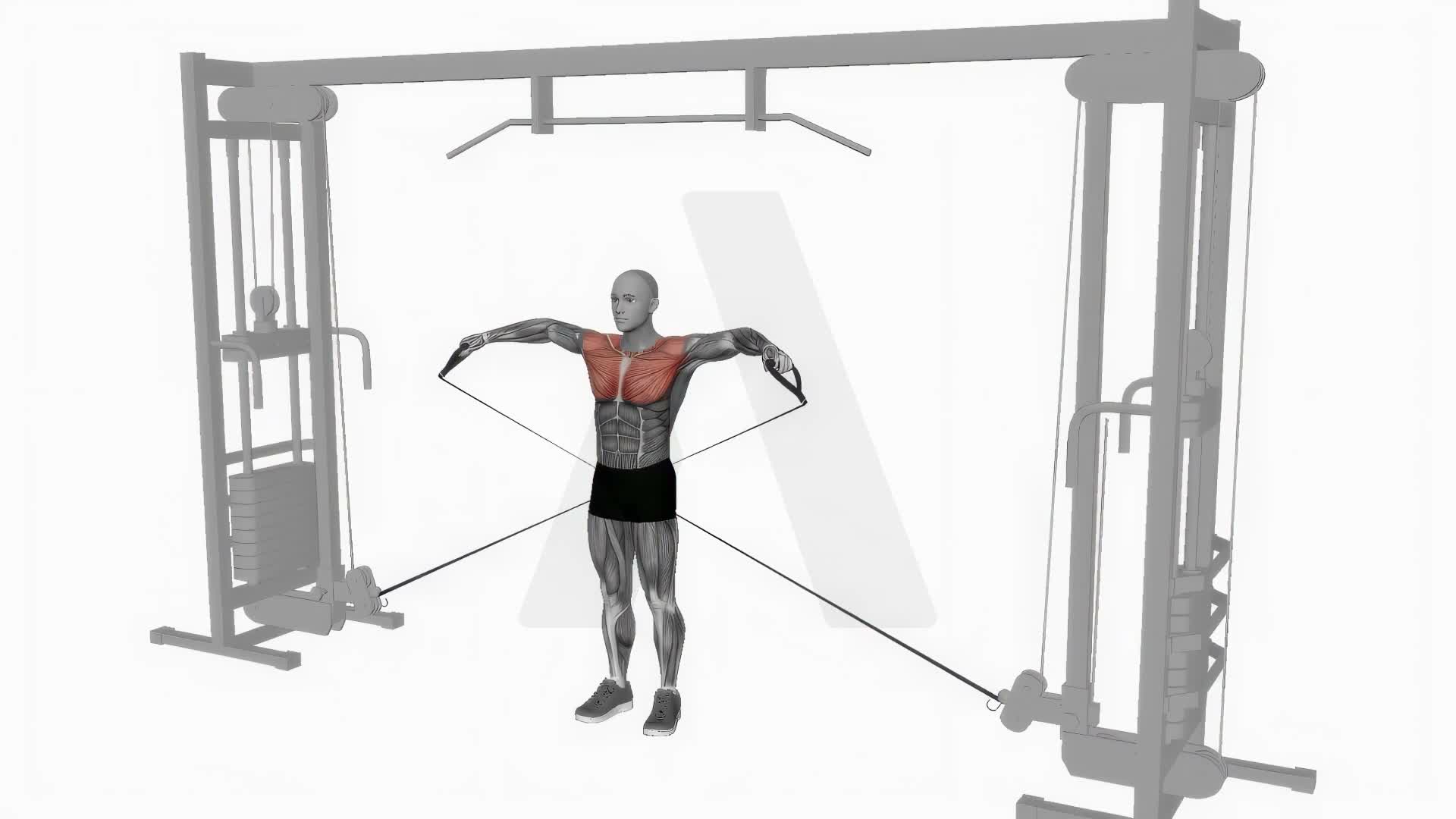 Cable Lateral Raise exercise demonstration