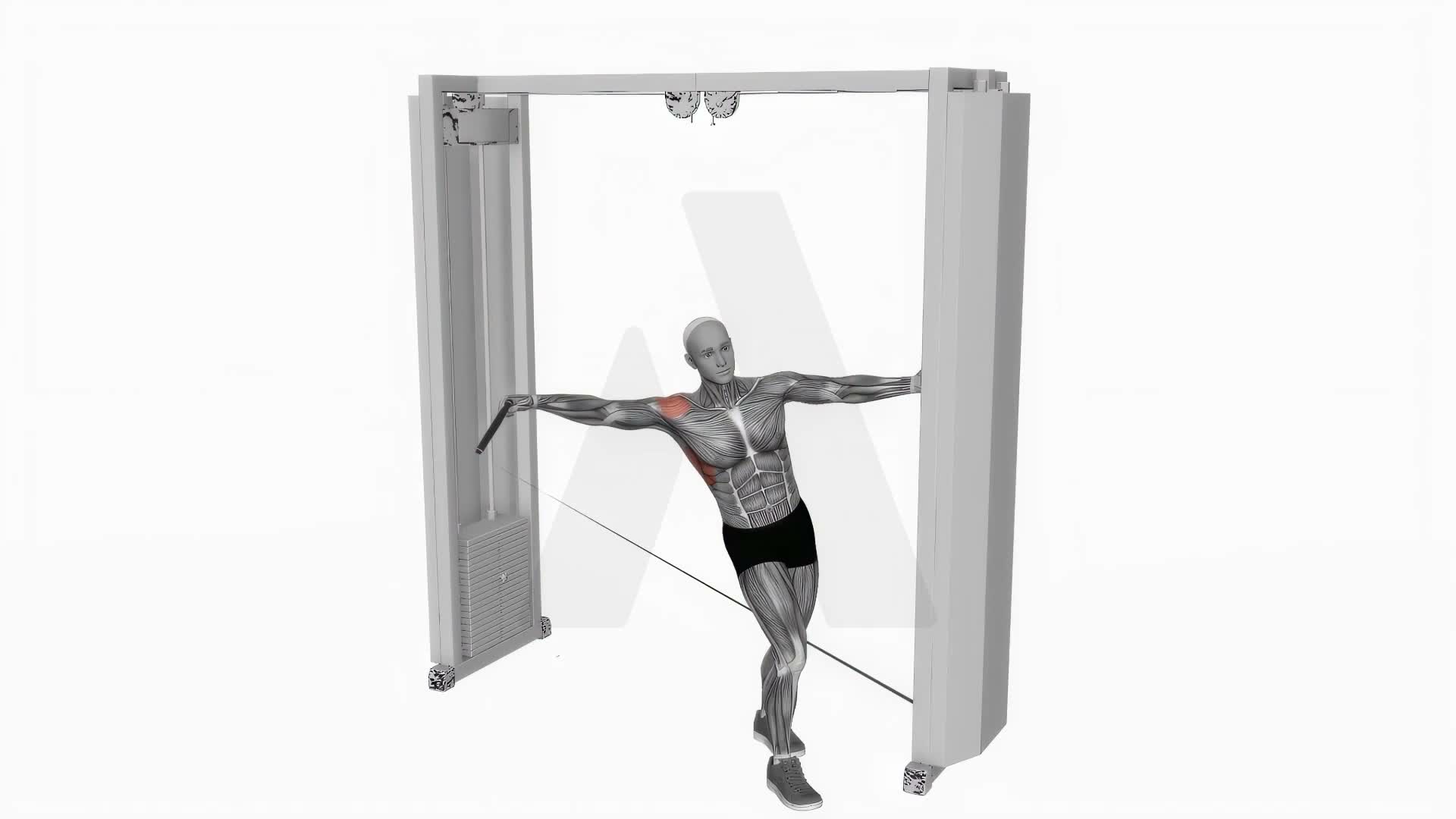 Cable Leaning Lateral Raise exercise demonstration
