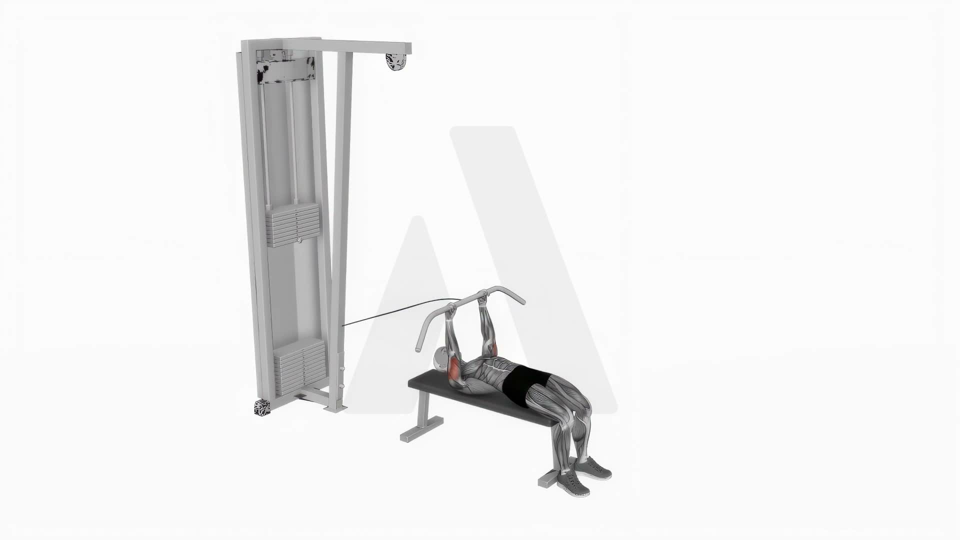 Cable Lying Triceps Extension exercise demonstration