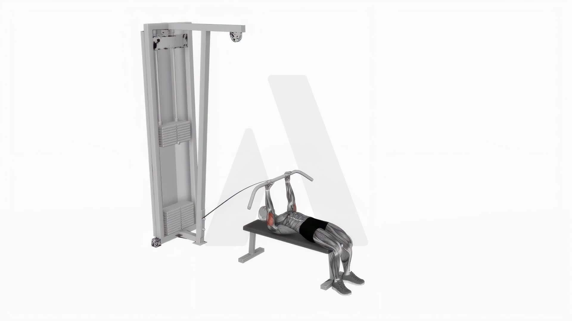 Cable Lying Triceps Extension (Low) exercise demonstration