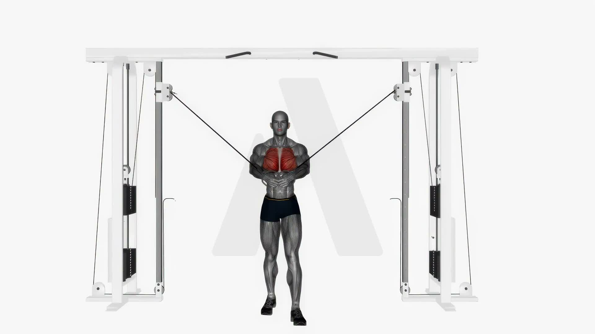 Cable Machine High To Low exercise demonstration