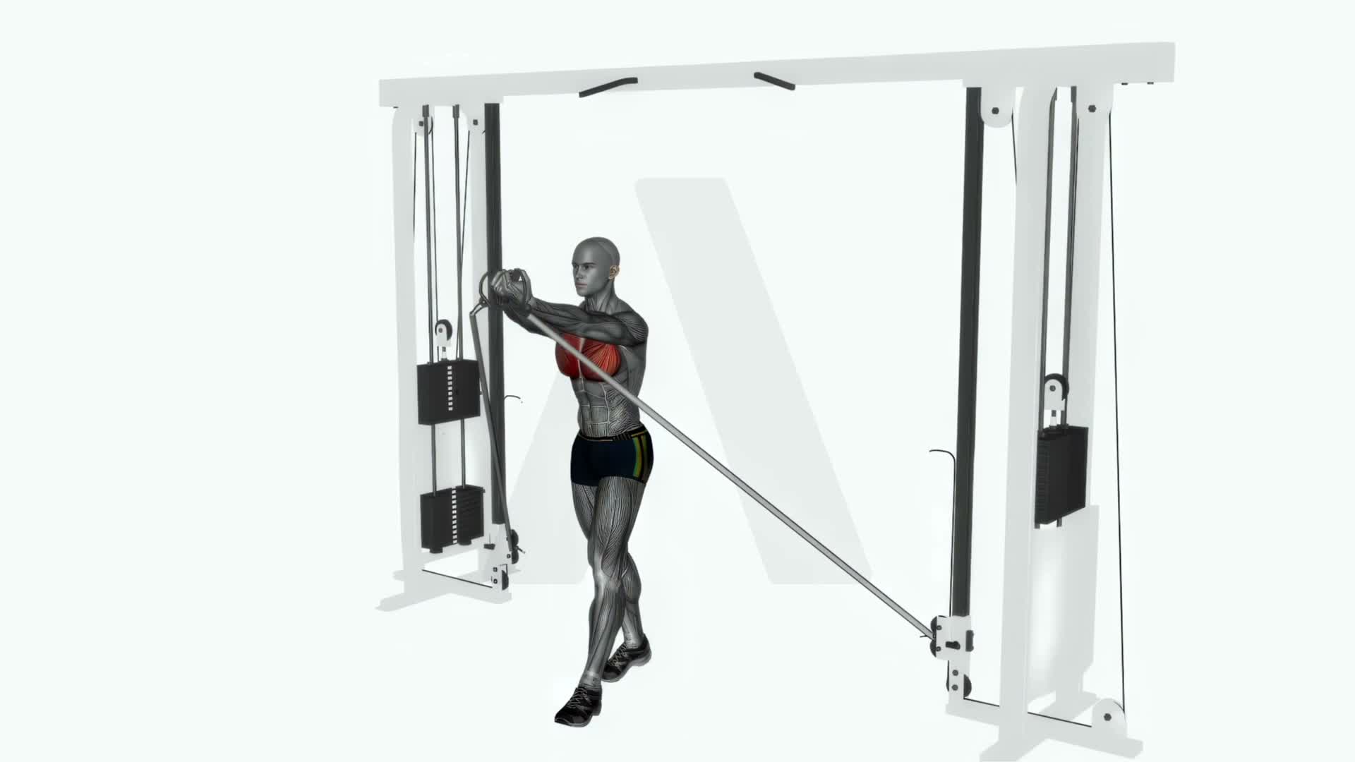 Cable Machine Low To High exercise demonstration