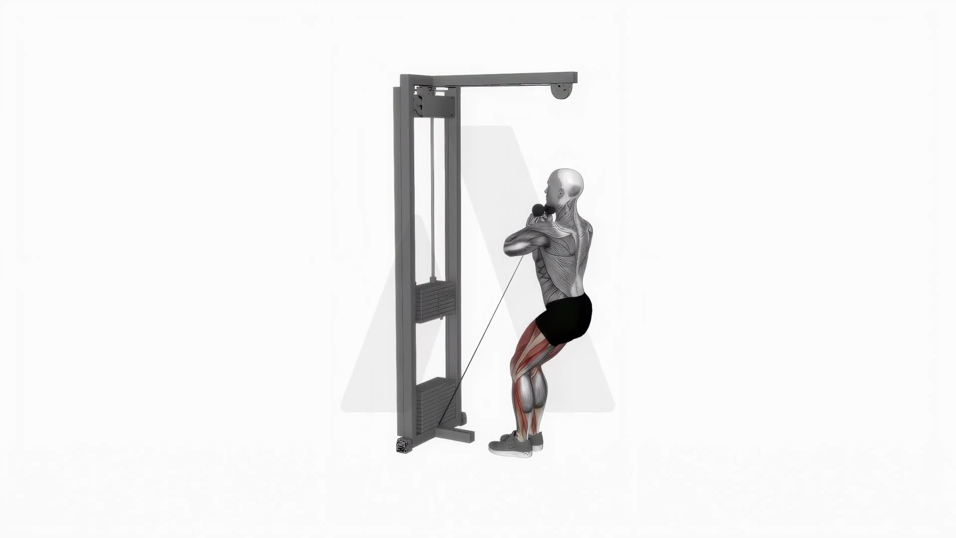 Cable Narrow Chair Stand Up exercise demonstration